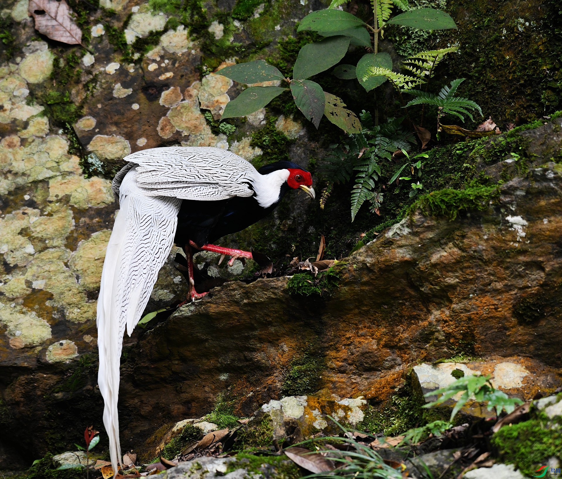 DSC_3381.jpg