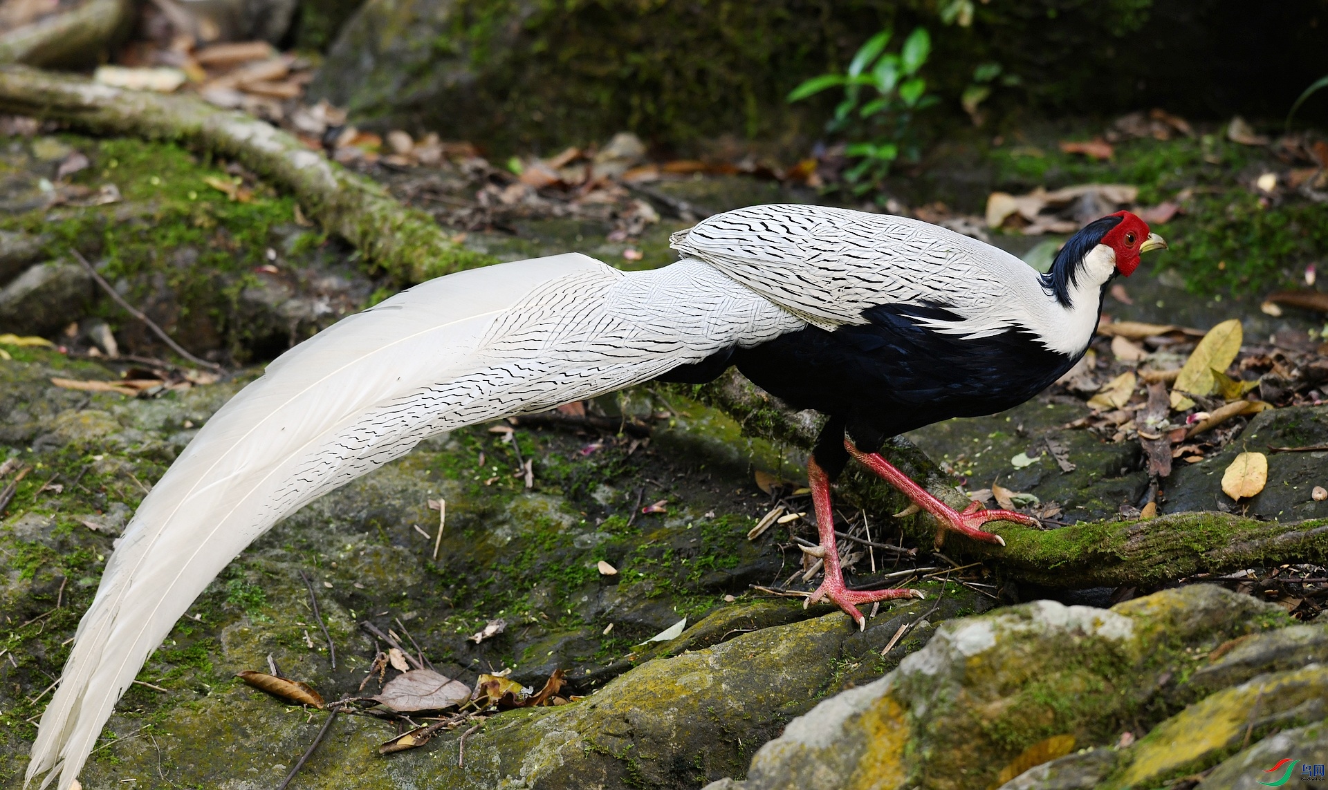 DSC_5254.jpg