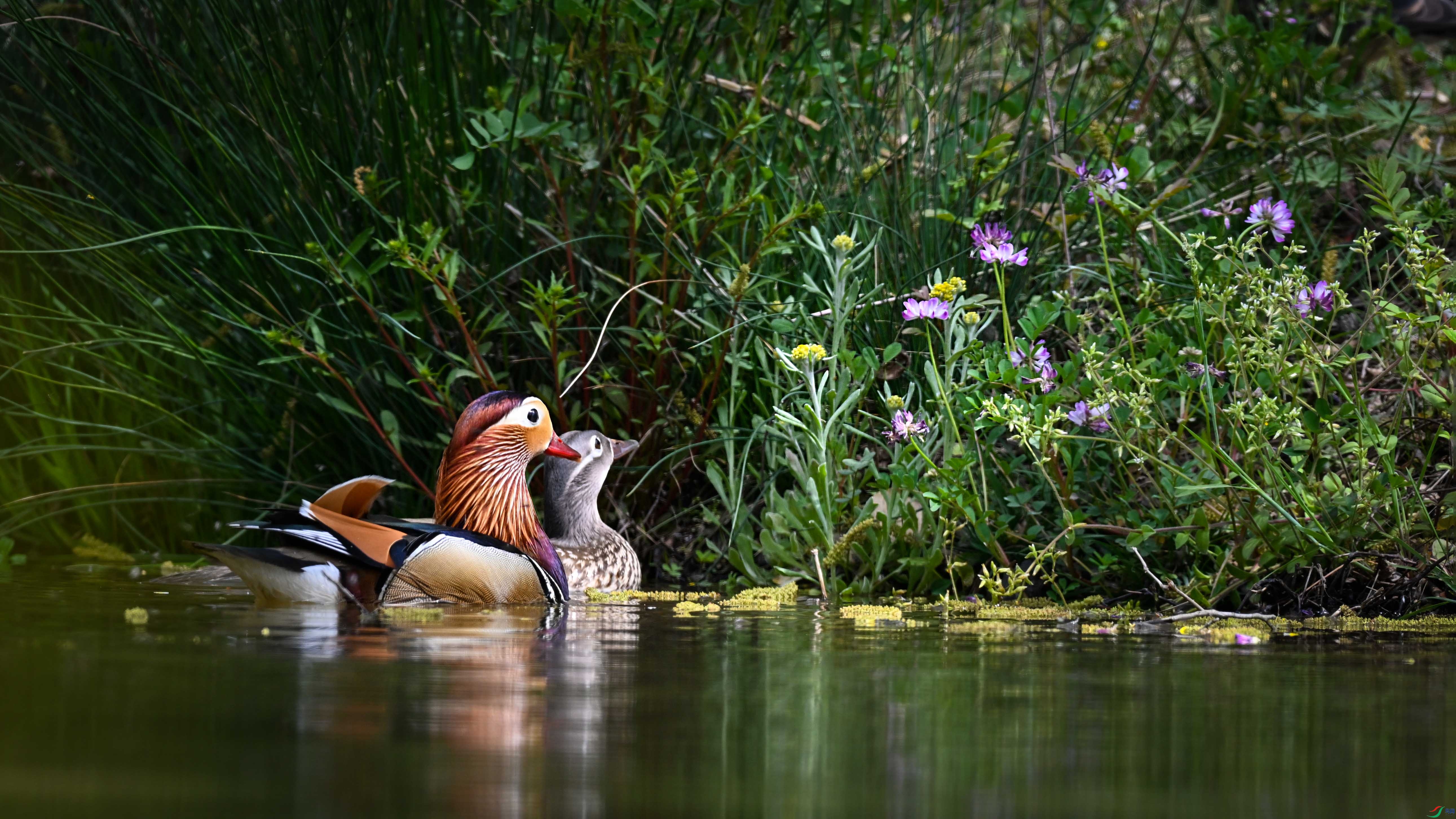DSC_7845.jpg