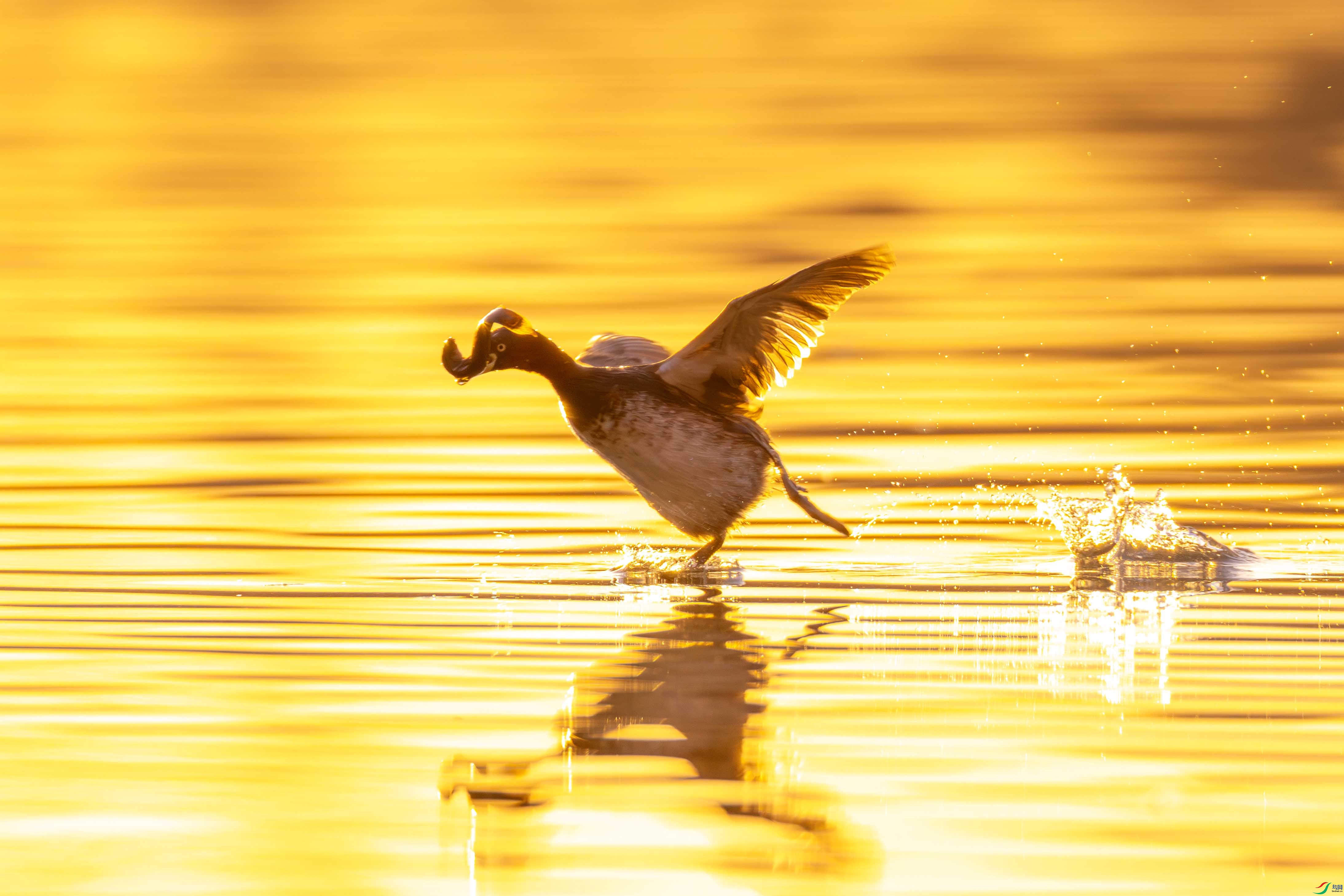 107A0511 ����.jpg