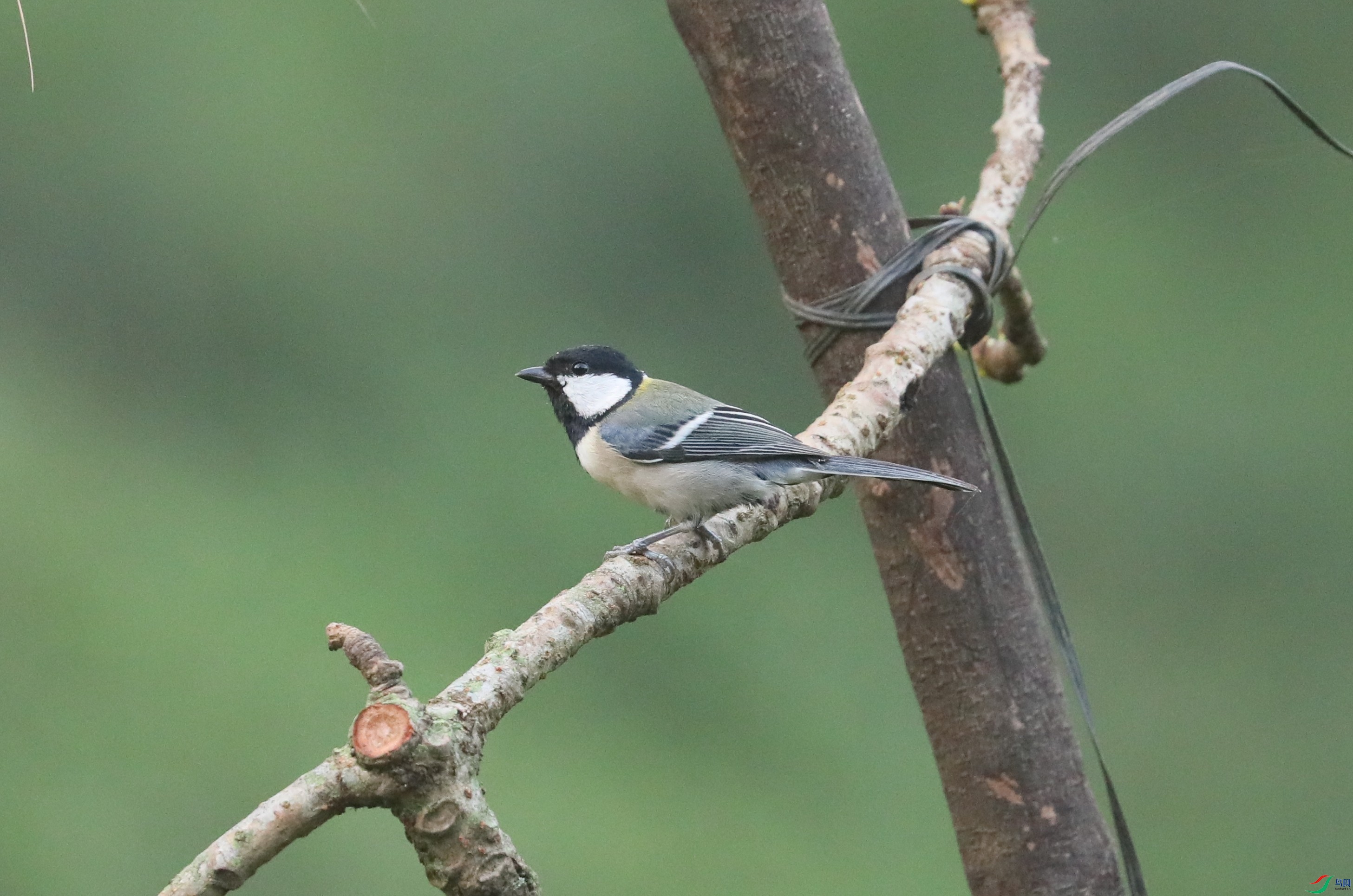 BL7A5034.JPG
