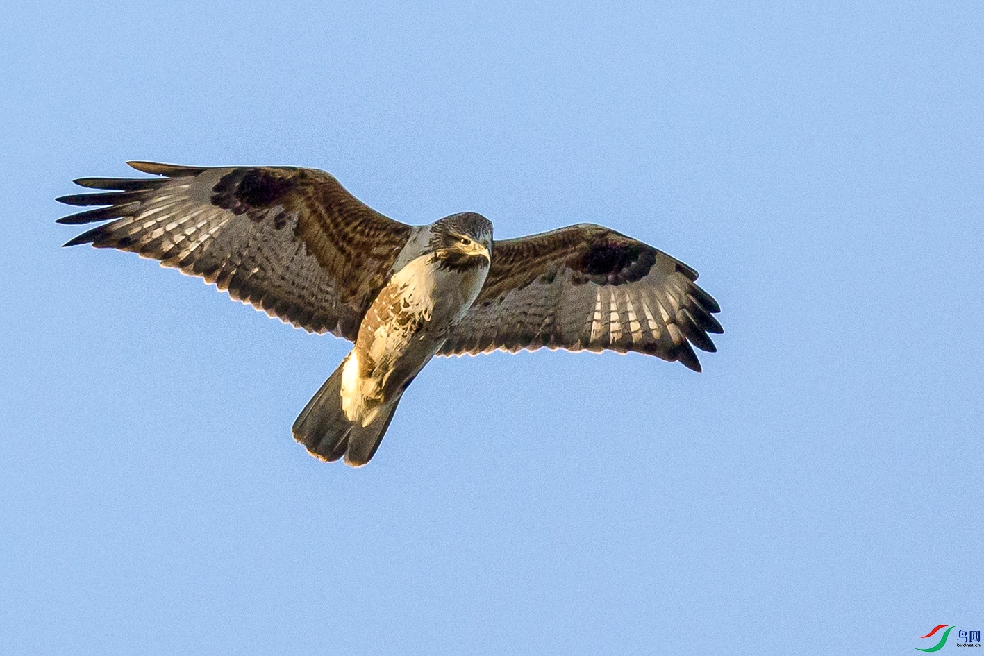 _MG_0153 ����.jpg