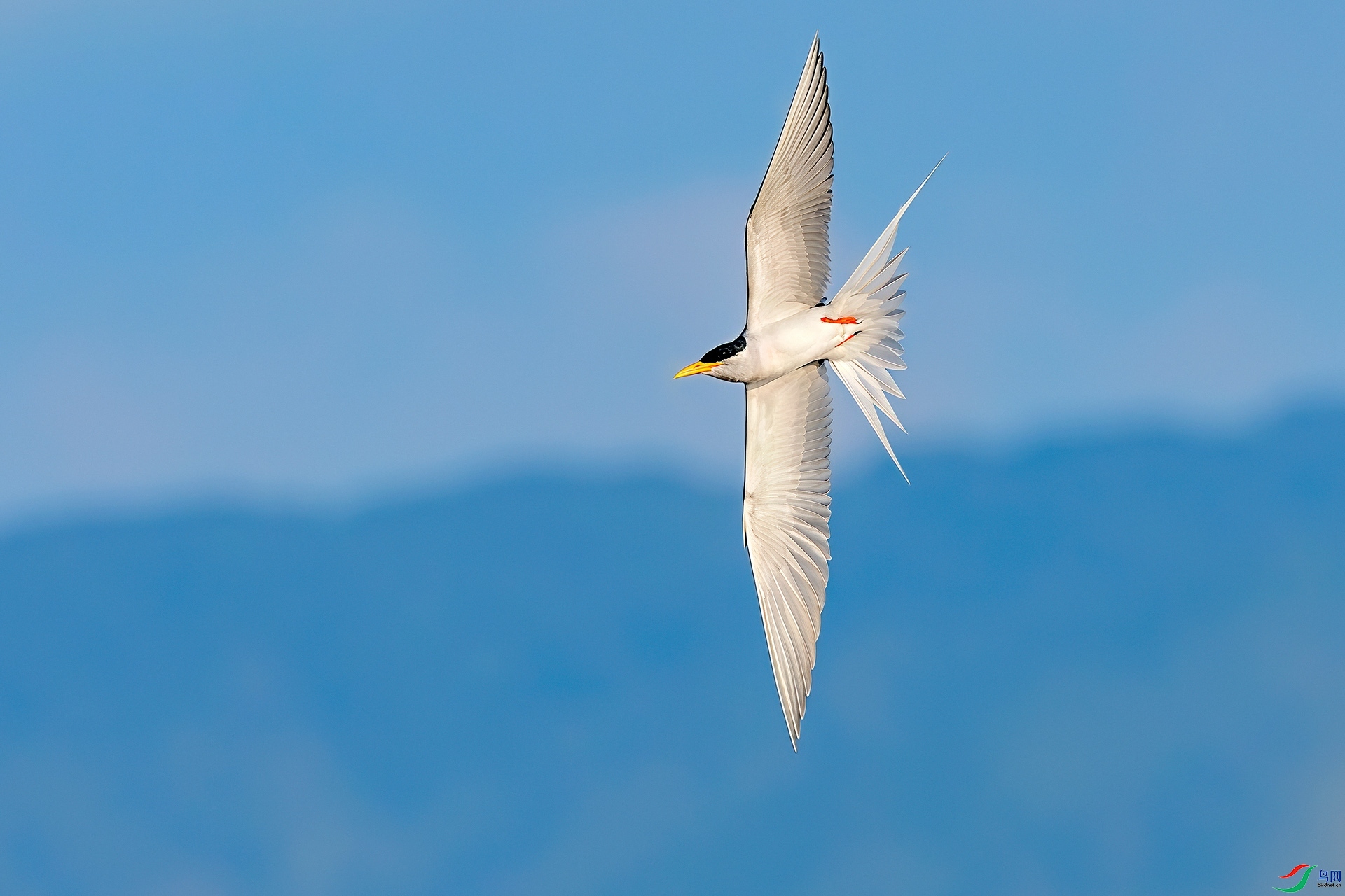 4.6�ɵ���ʦ��Ʒ   �������Ÿ ��ף���ٻ���Ӱʦ������.jpg