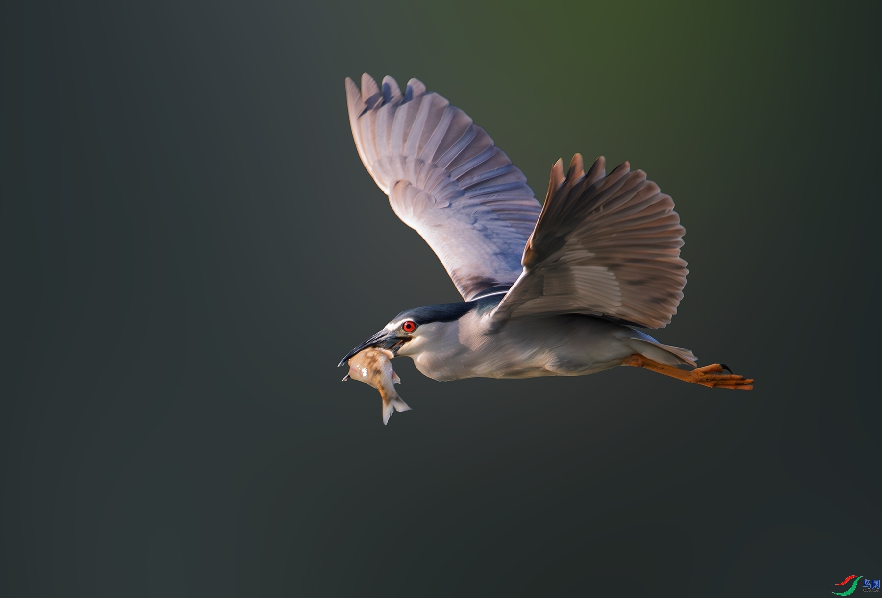 4.8_3795��ʦ��Ʒ   �Ի���� ��ף���ٻ��Ա������.jpg