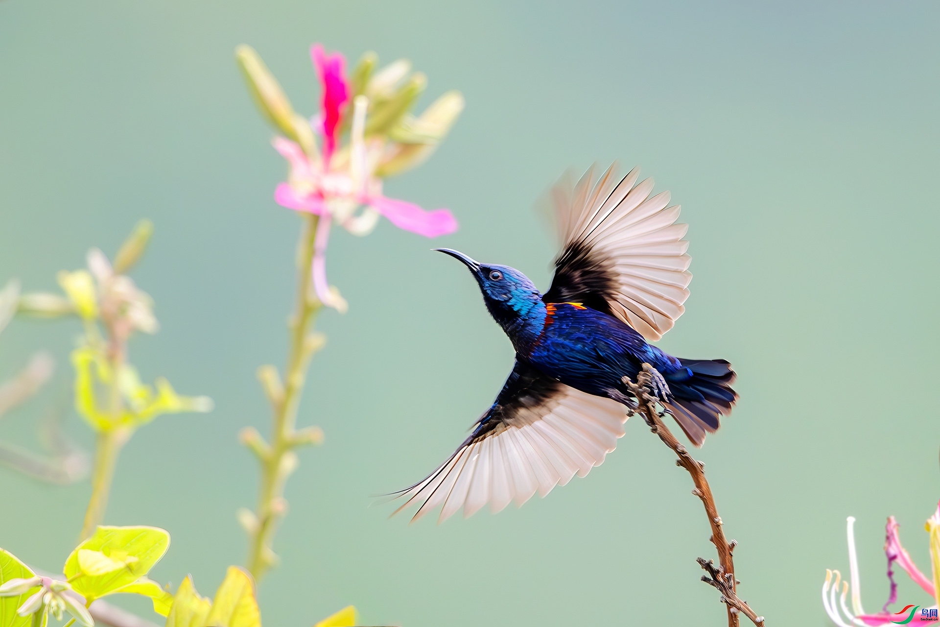 4.11�ɵ���ʦ��Ʒ   չ�� ��ף���ٻ���Ӱʦ������.jpg