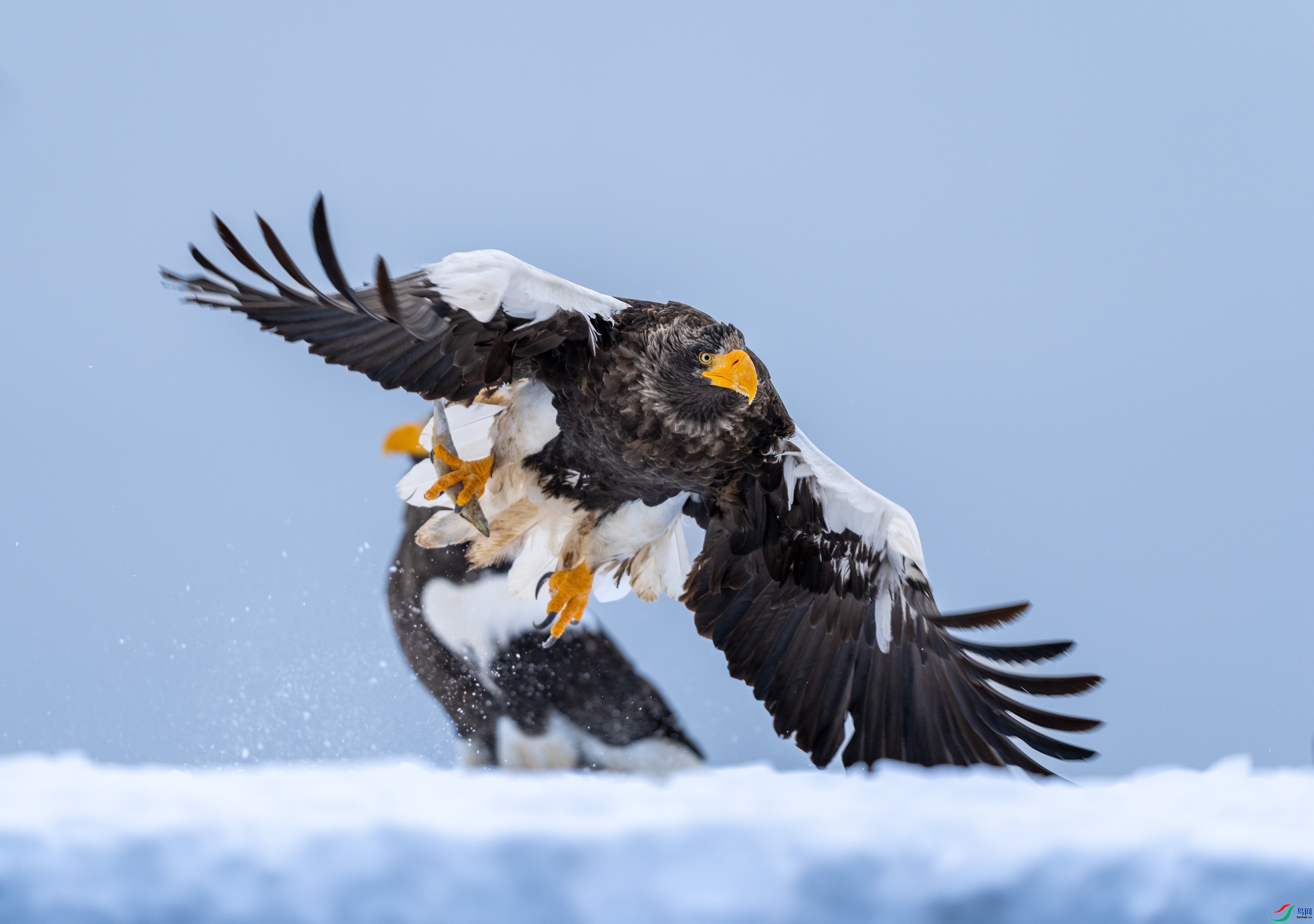 4.11�����ʦ��Ʒ   ���� ��ף���ٻ���Ӱʦ������.jpg