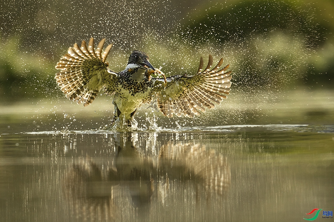 4.11����·��ʦ��Ʒ   ׽�� ��ף���ٻ���Ӱʦ������.jpg