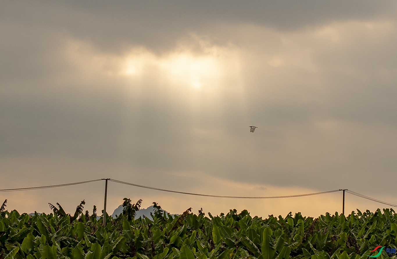 DSC_7348-0.jpg