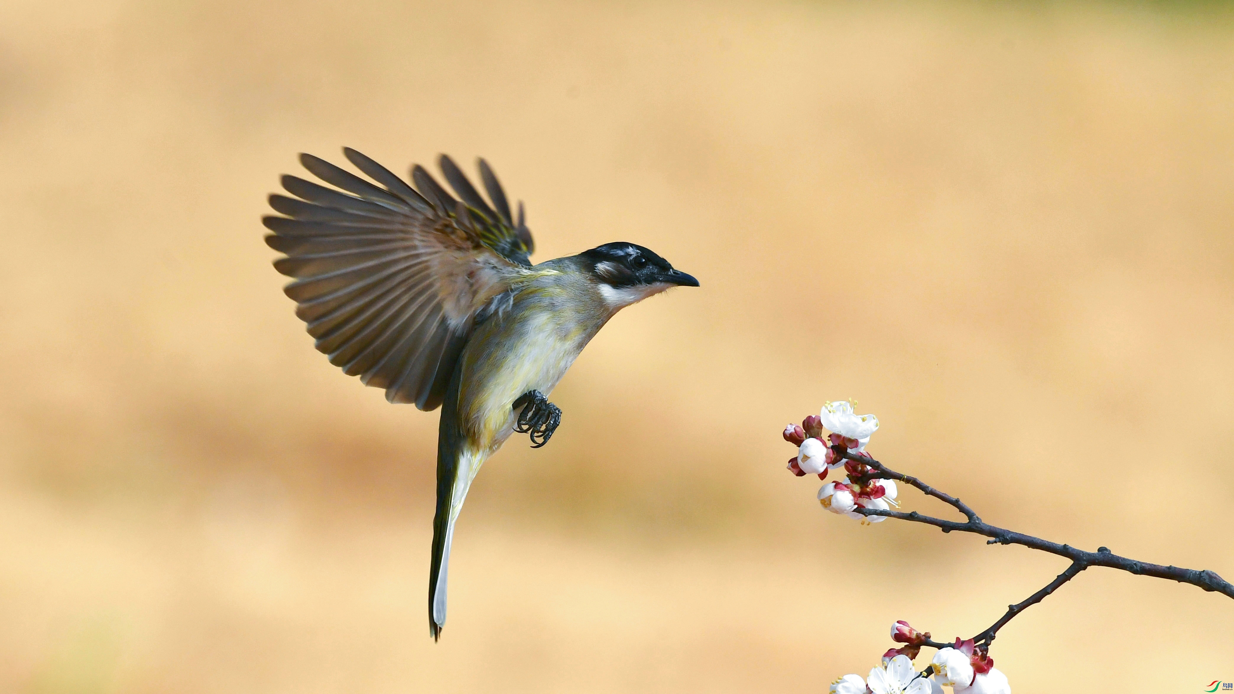 DSC_6969.JPG