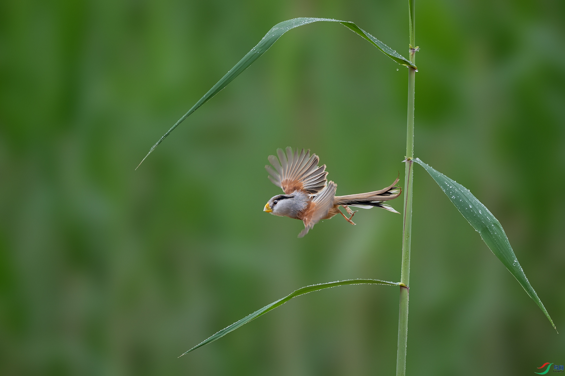 _DSC1575 ����С.jpg