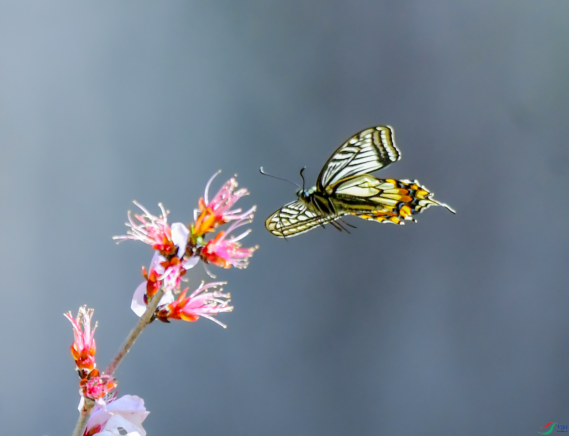 DSC_1938_��ͼ�� ����.jpg