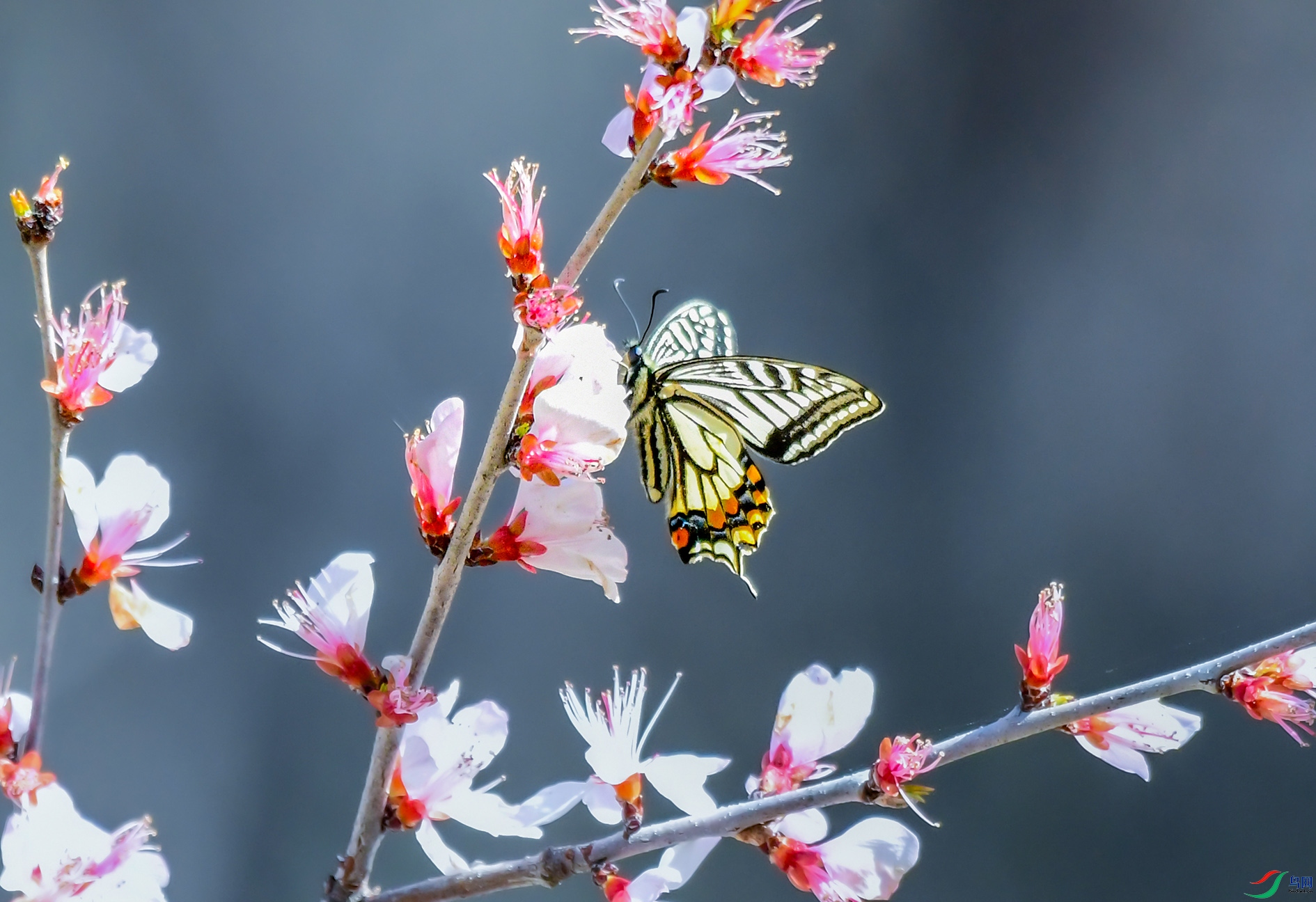 DSC_1915_��ͼ�� ����.jpg