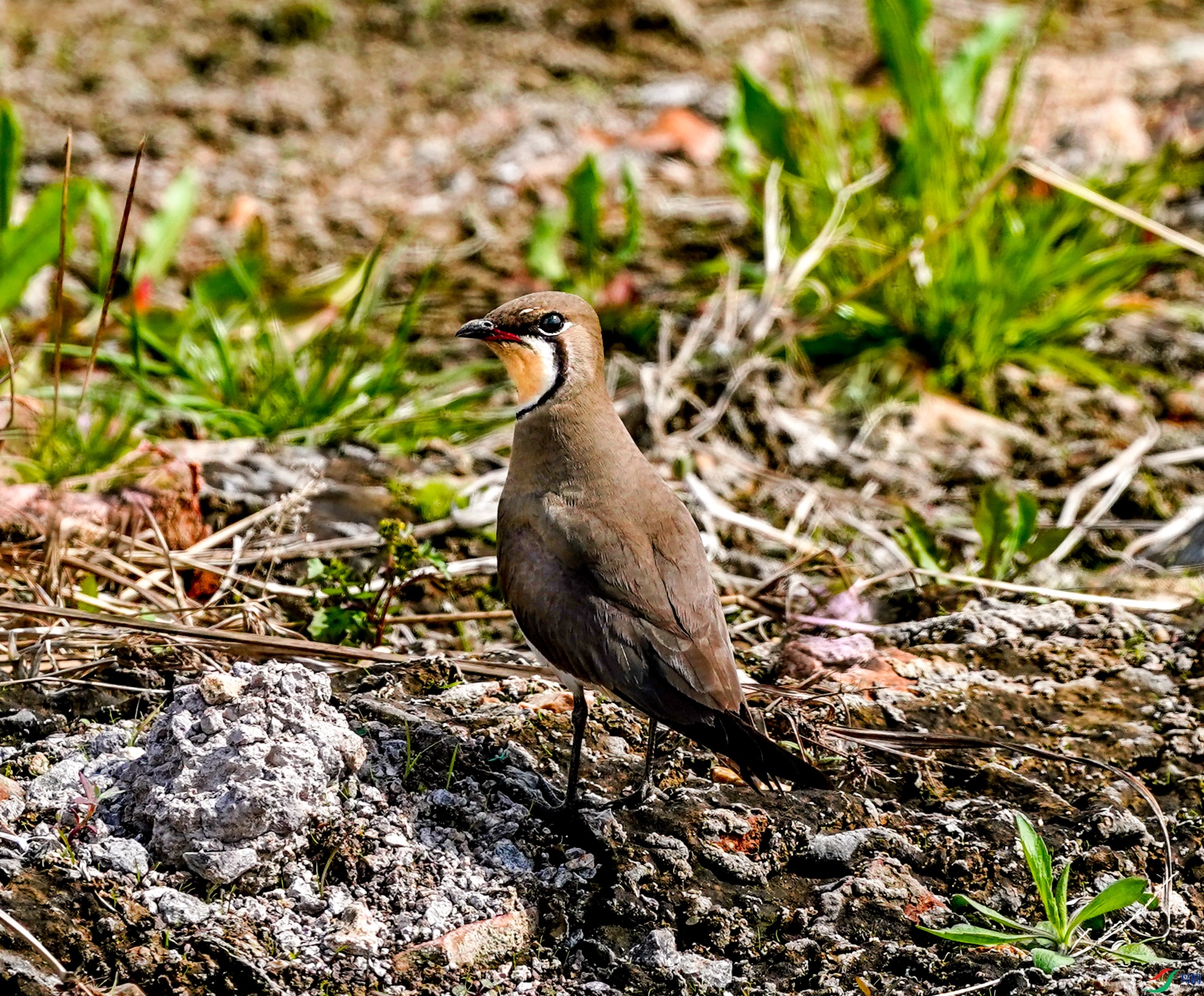 ���a.jpg