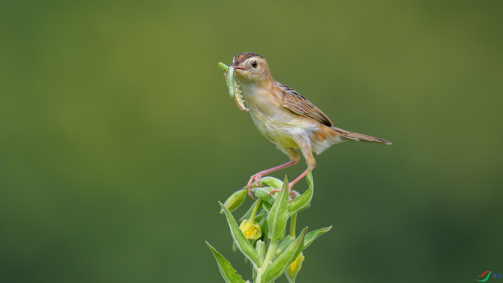 DSC_2331-20250914��.jpg