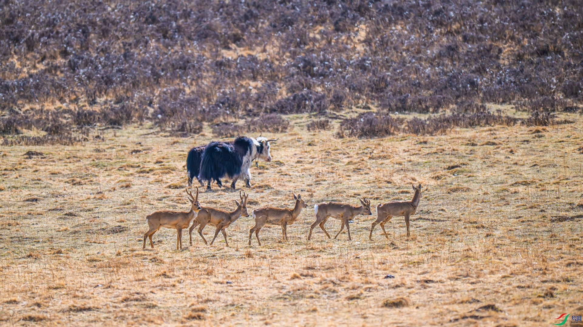 _DSC7988_����.jpg