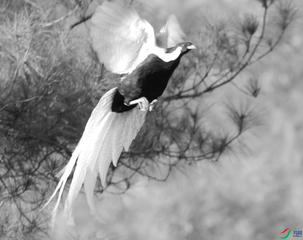 _DSC1318c_������С.jpg