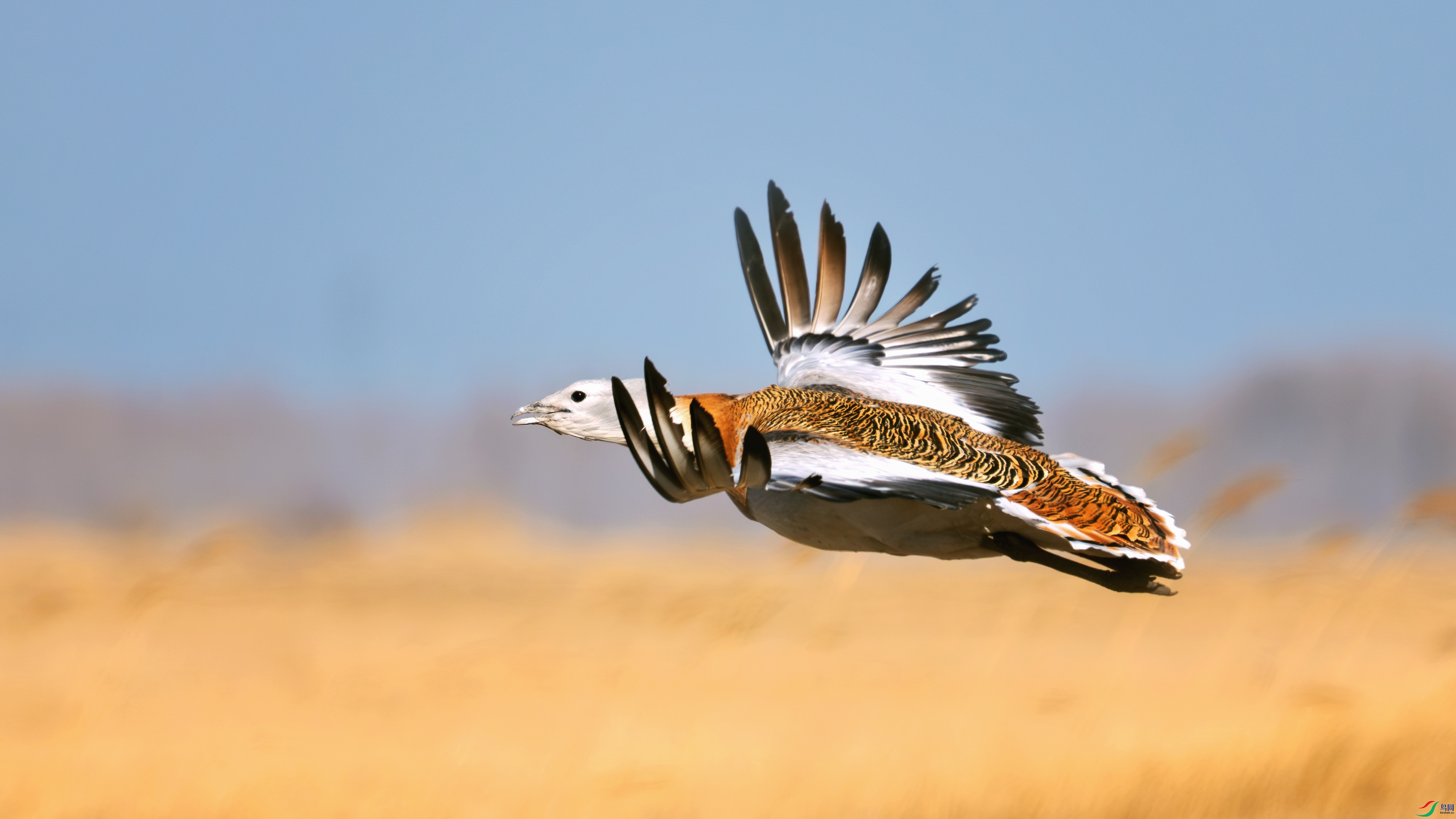 _DSC2693 ����.jpg