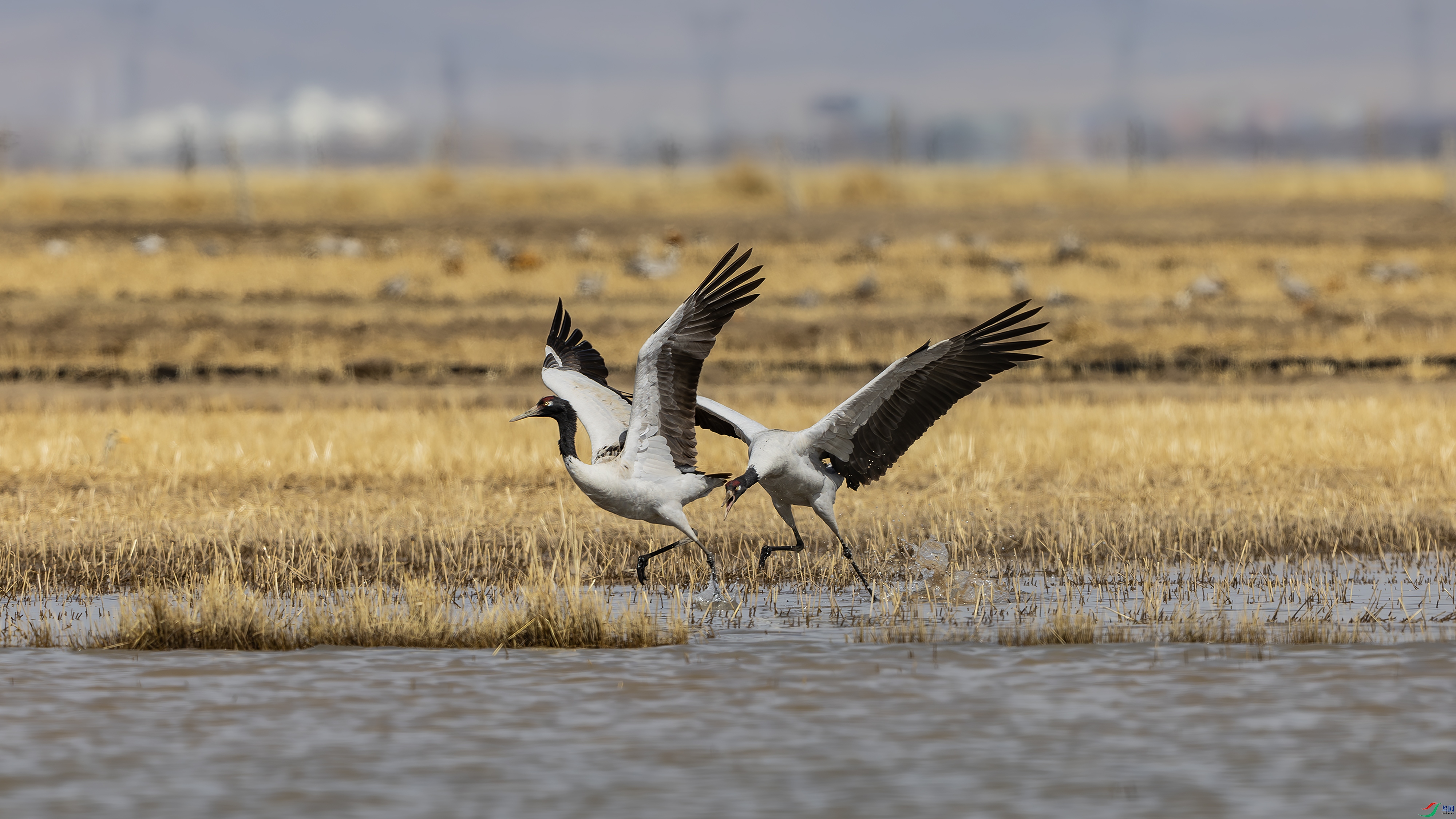 ��׷�Ҹ�  2.jpg