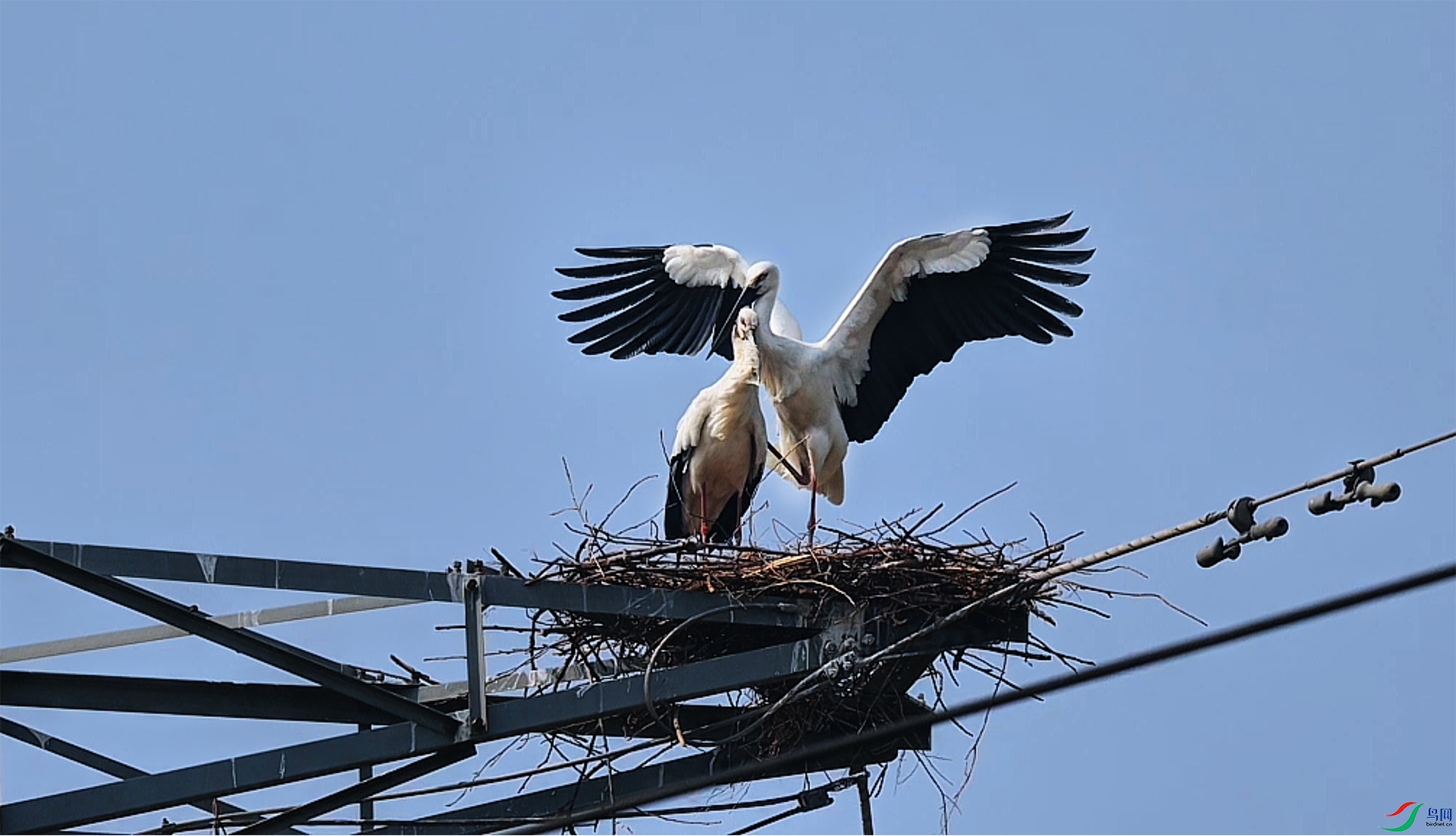 3��25��(6) ����.jpg