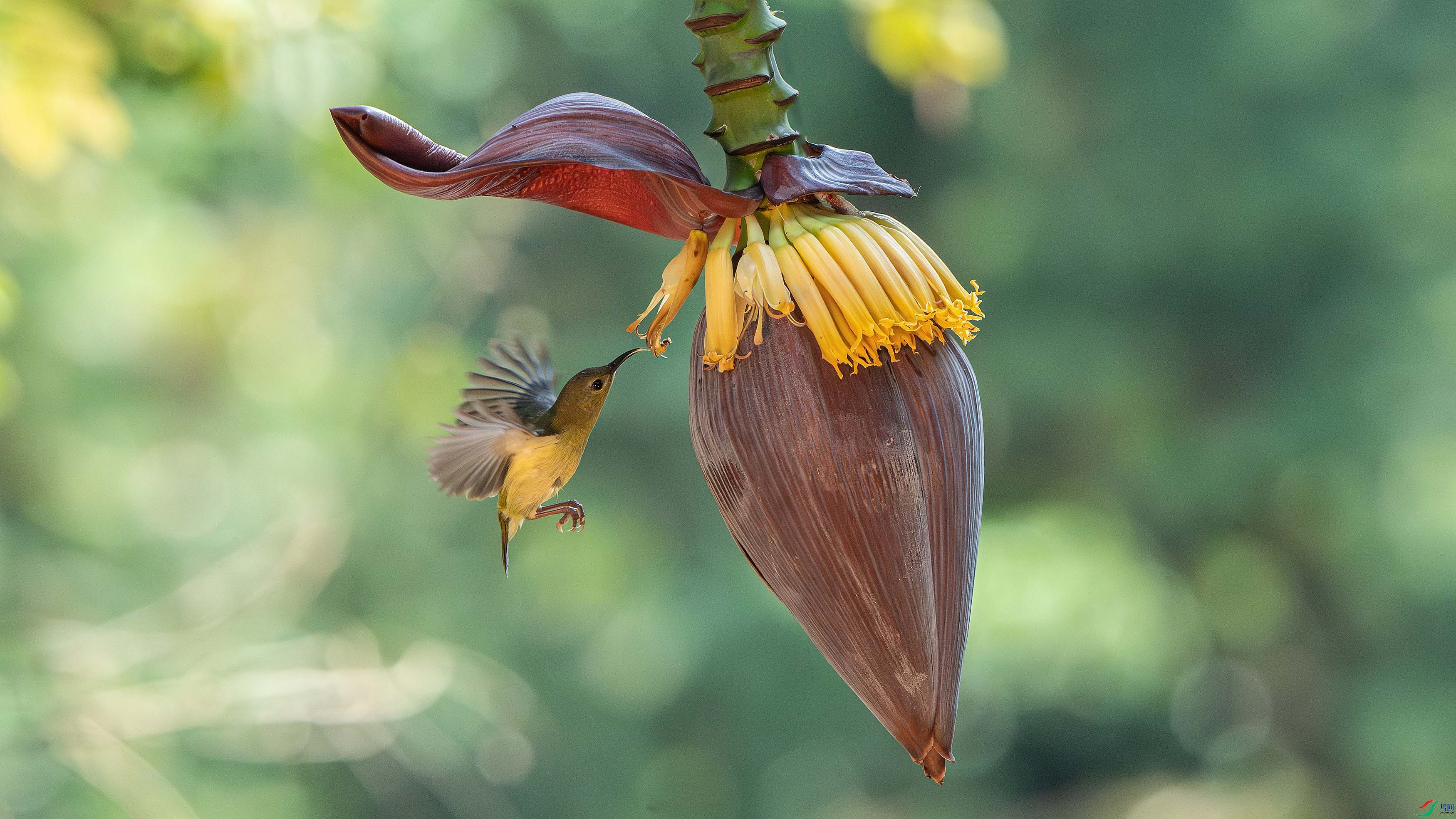 ZZX09659 ����.jpg