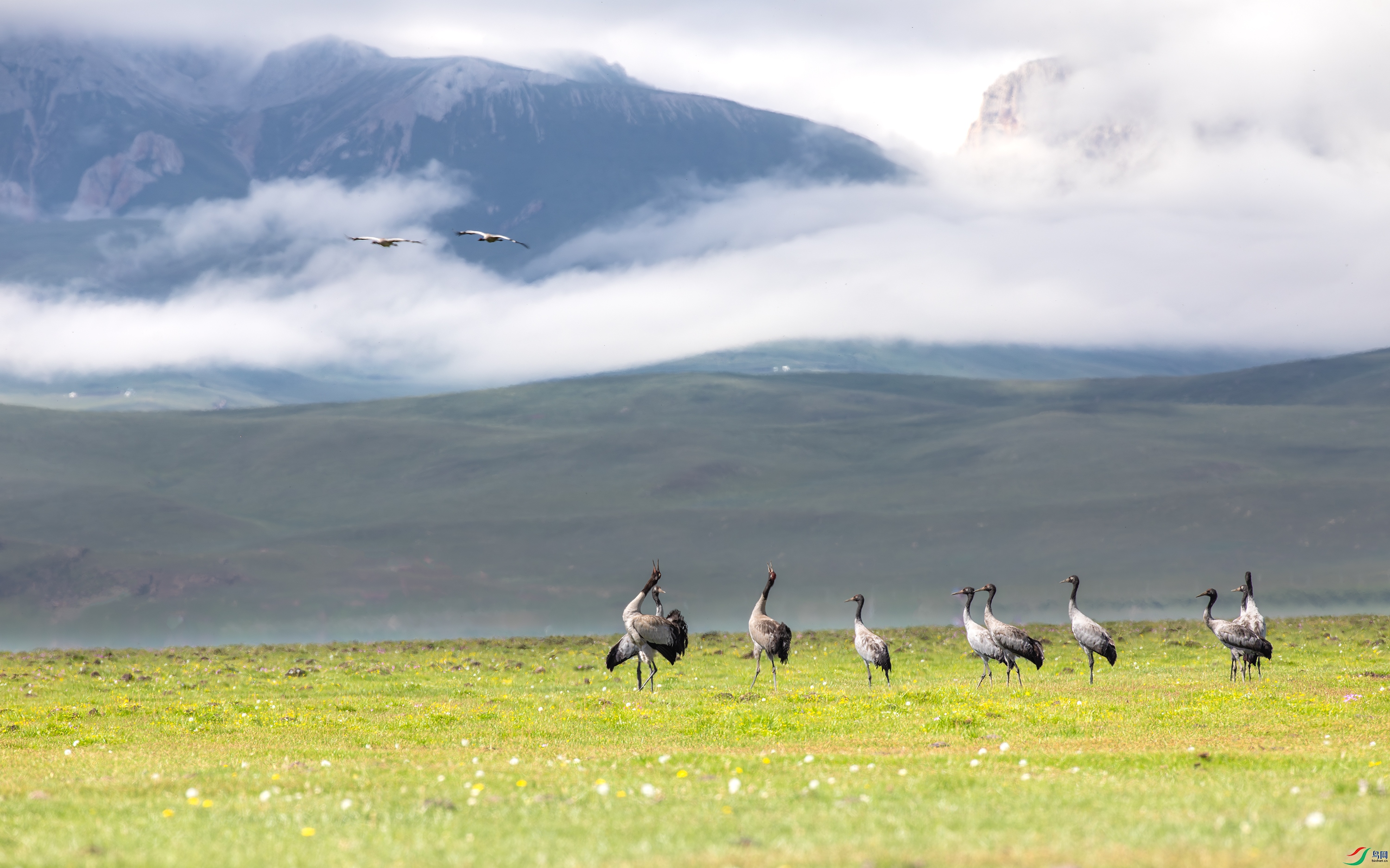 3S5A2687 ����.jpg