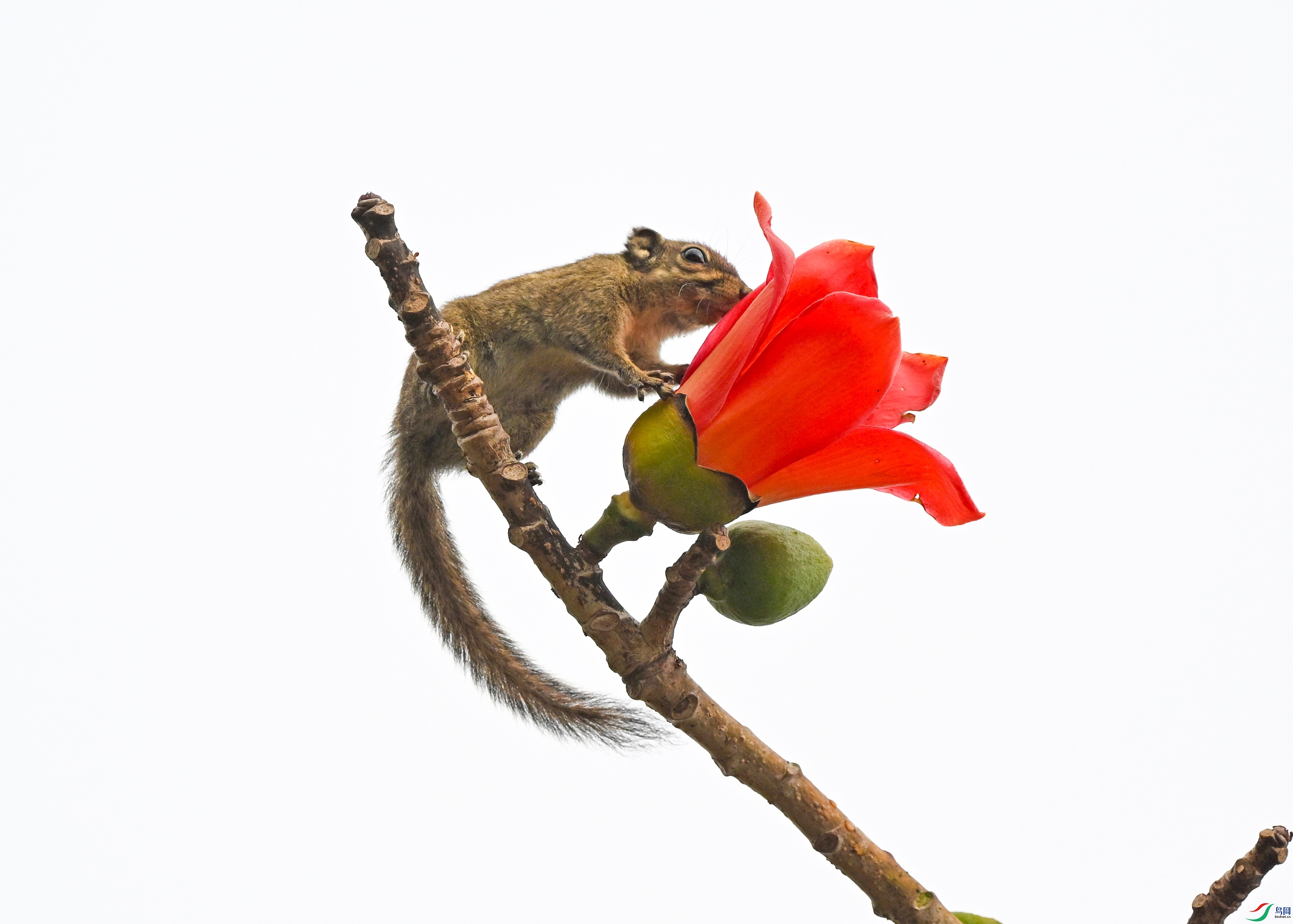 DSC_0379--1 ��������.jpg