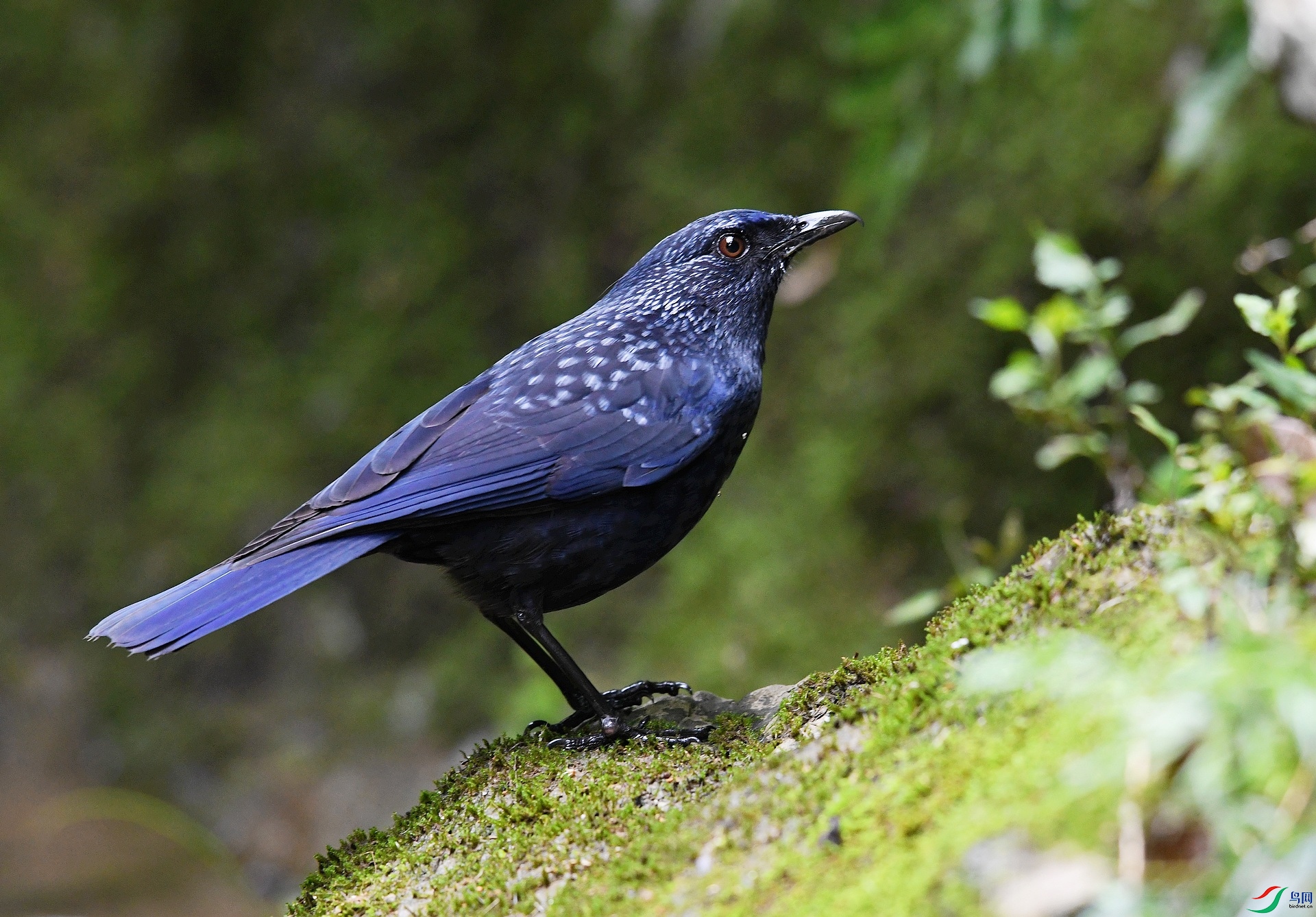 DSC_3274.jpg