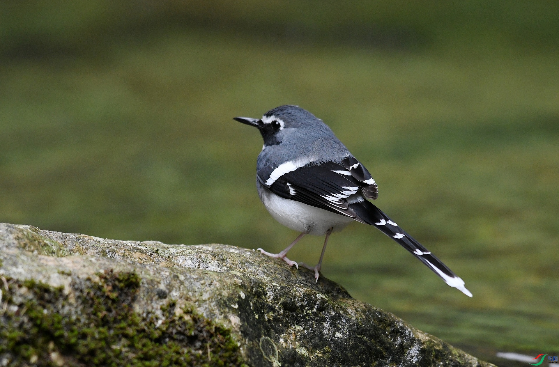 DSC_4311.jpg
