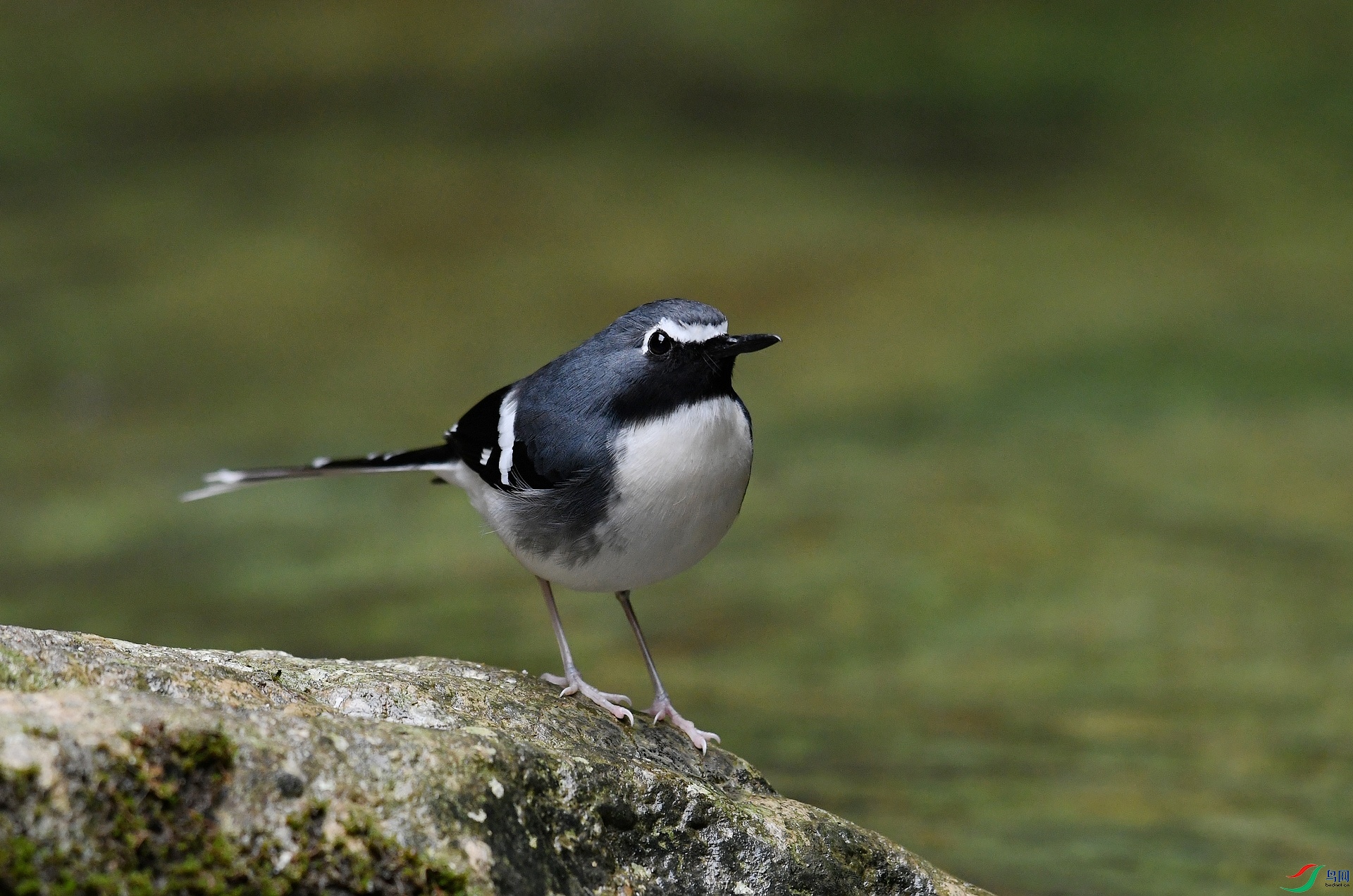 DSC_4309.jpg