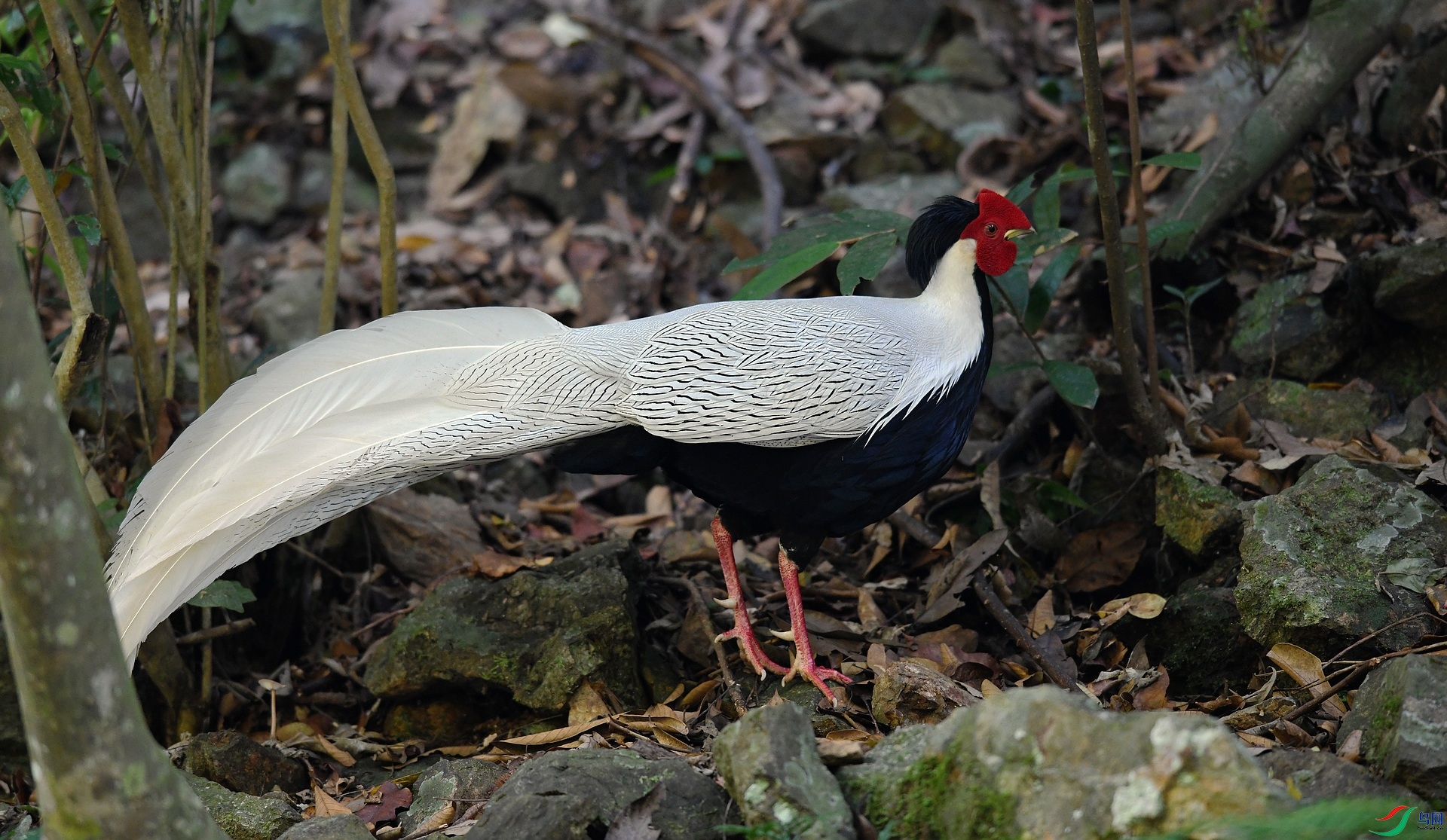 DSC_2224.jpg