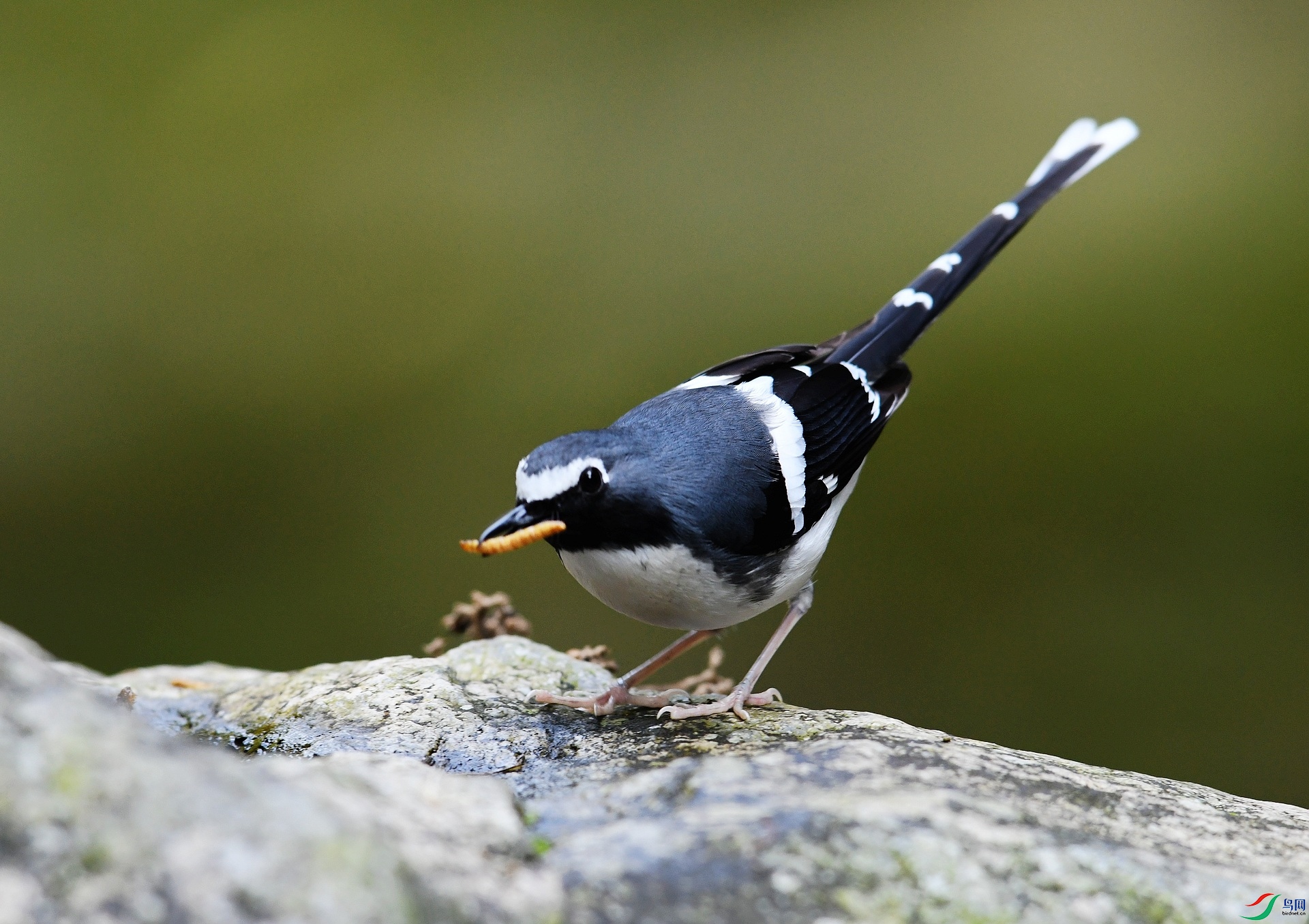 DSC_2149.jpg