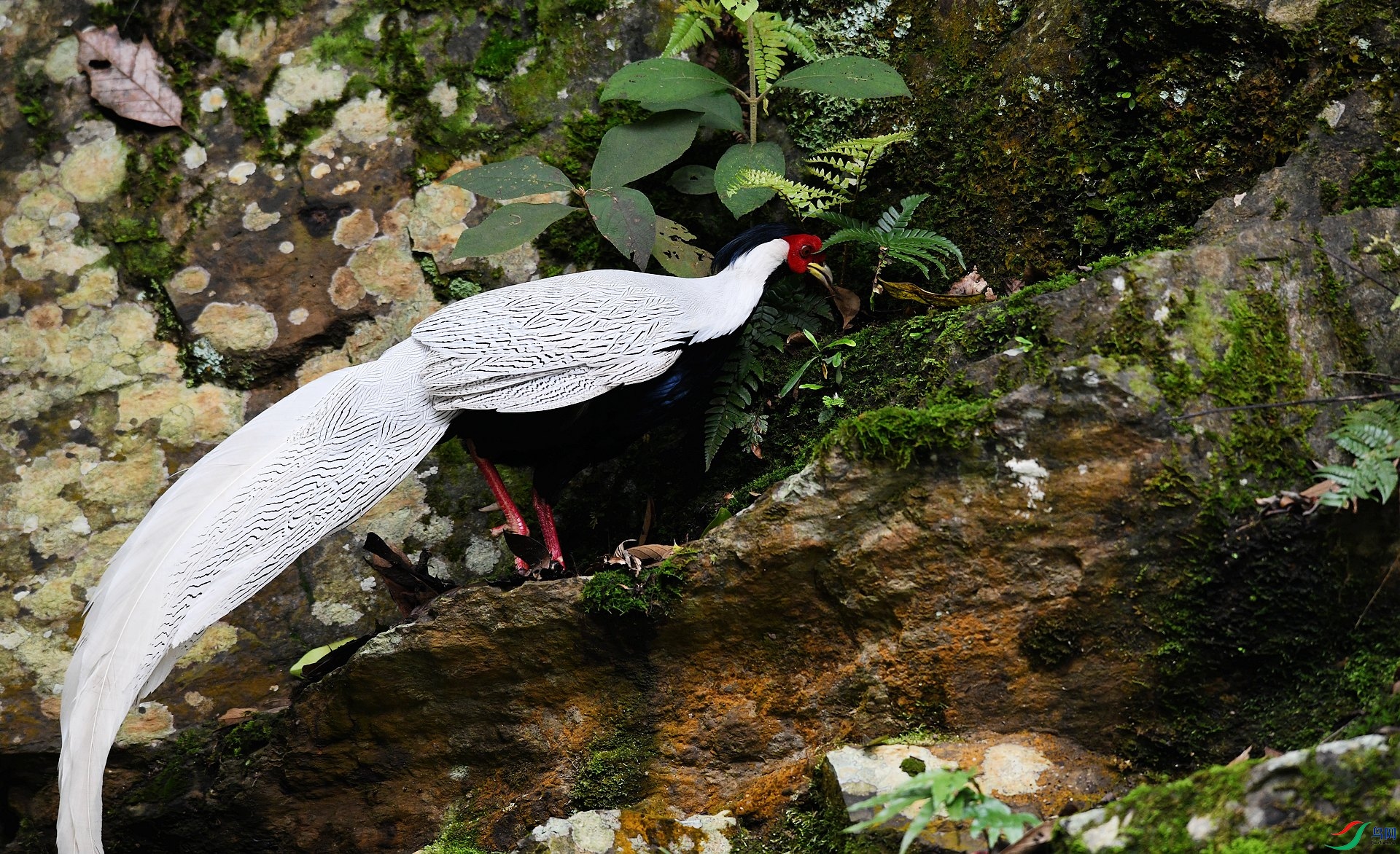 DSC_3389.jpg