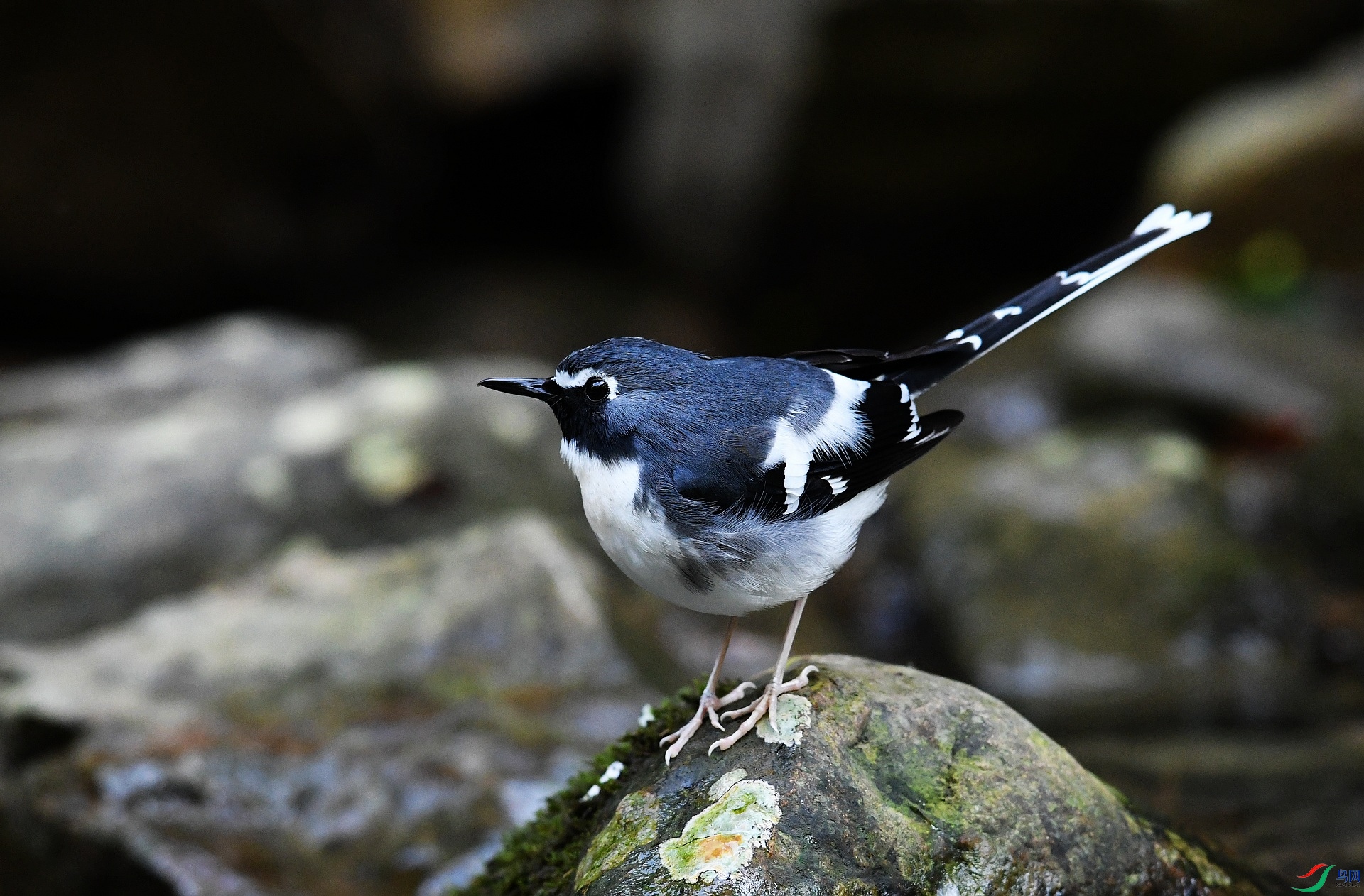 DSC_2147.jpg
