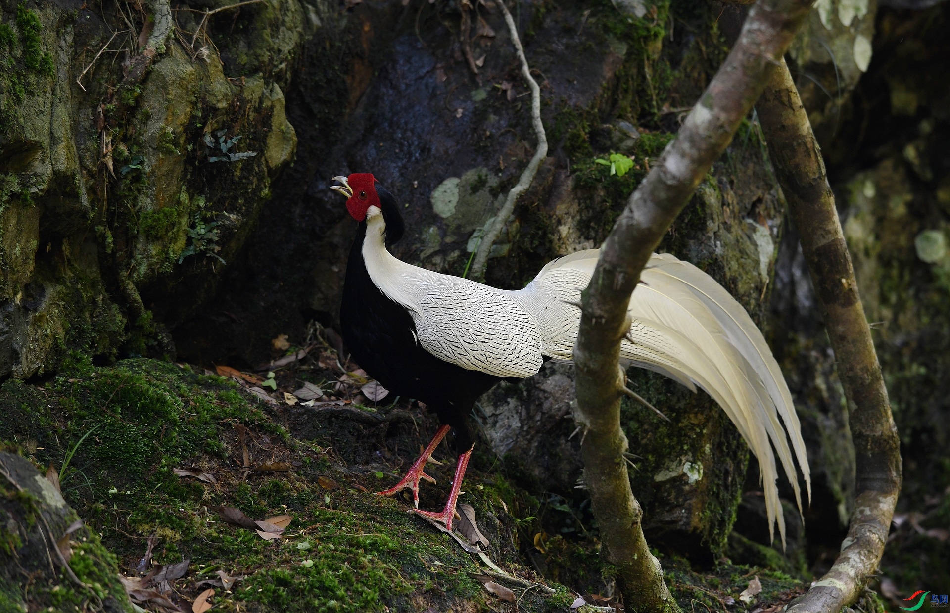 DSC_4663.jpg