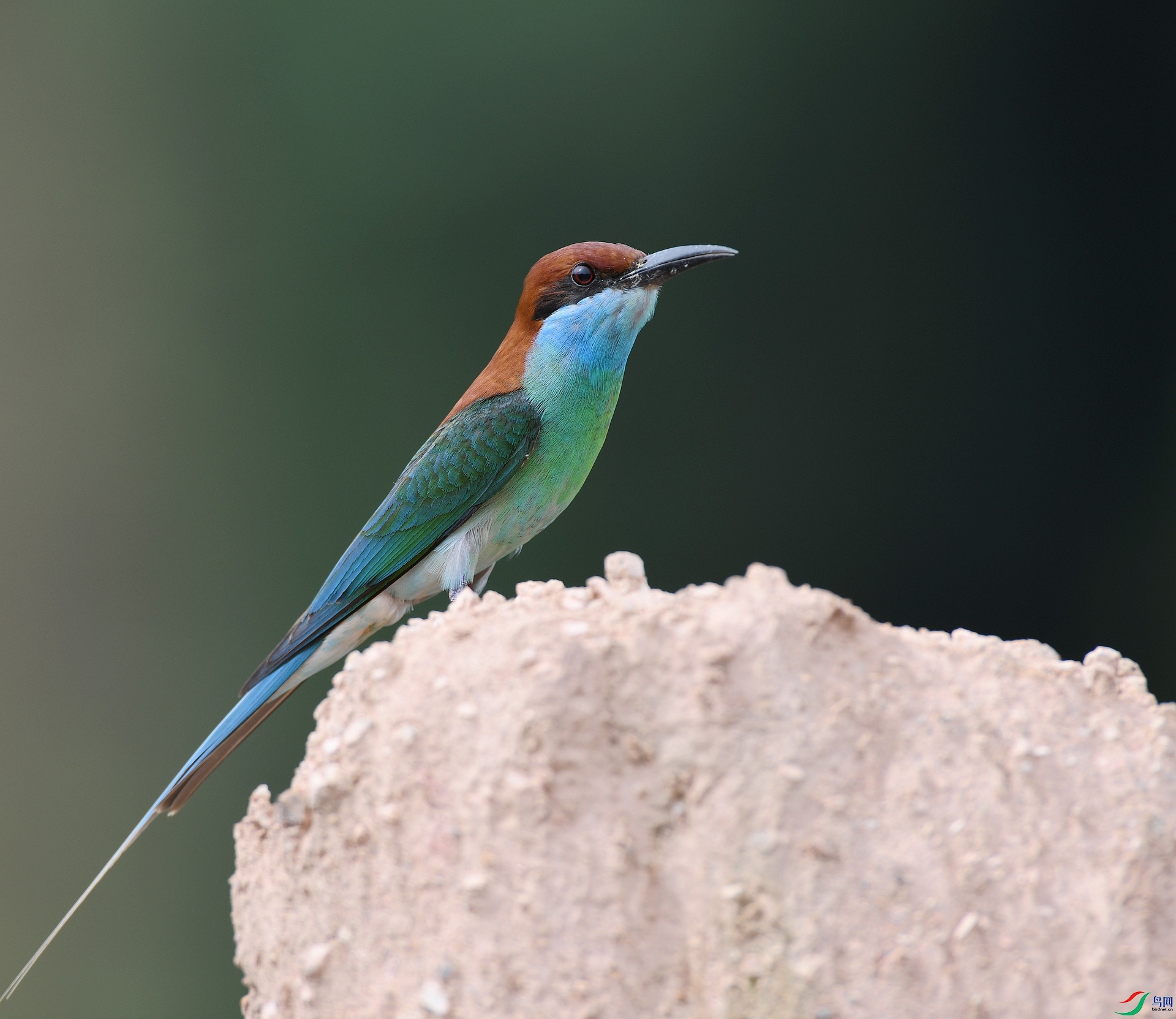 DSC_8712.jpg