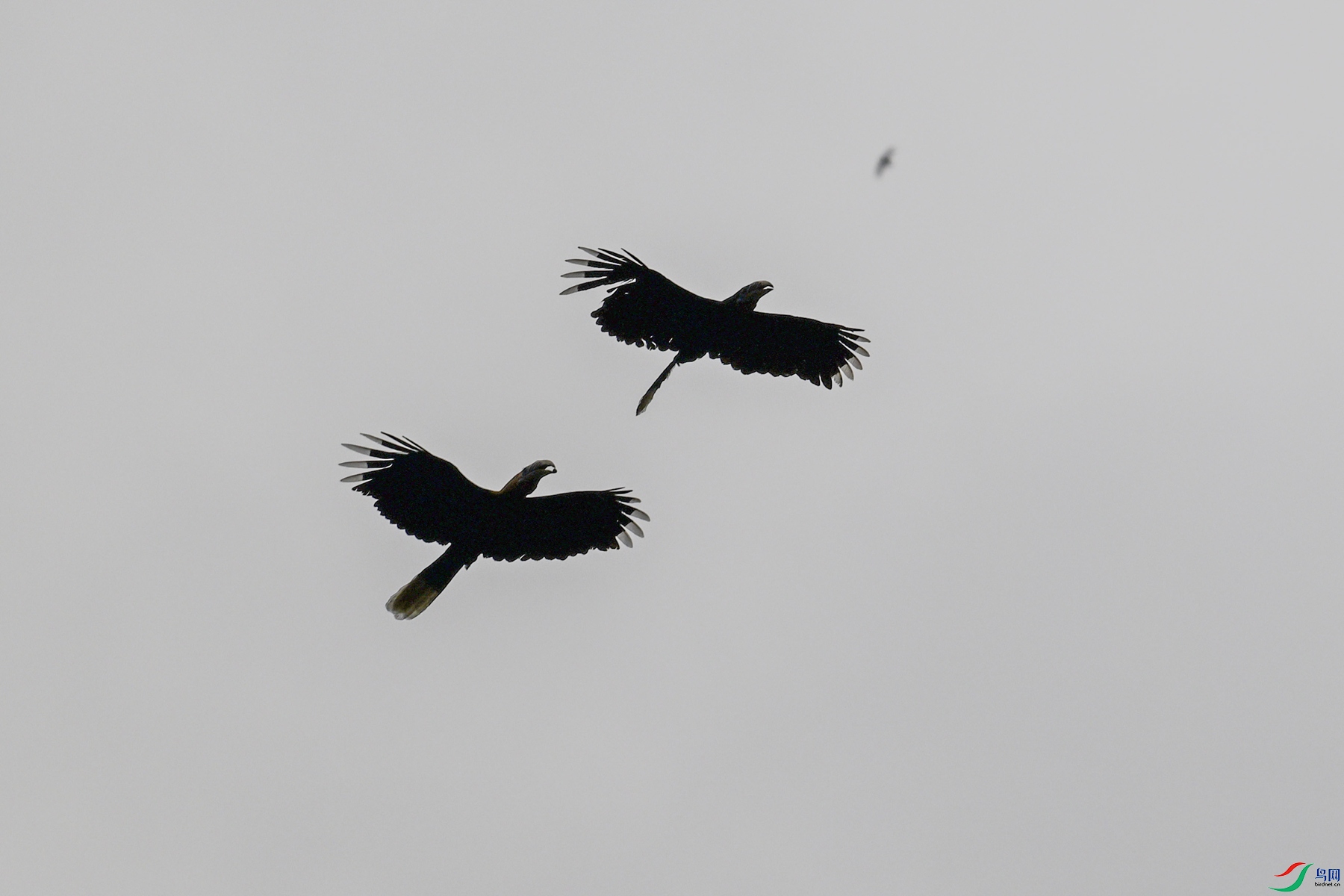 DSC_0025.JPG