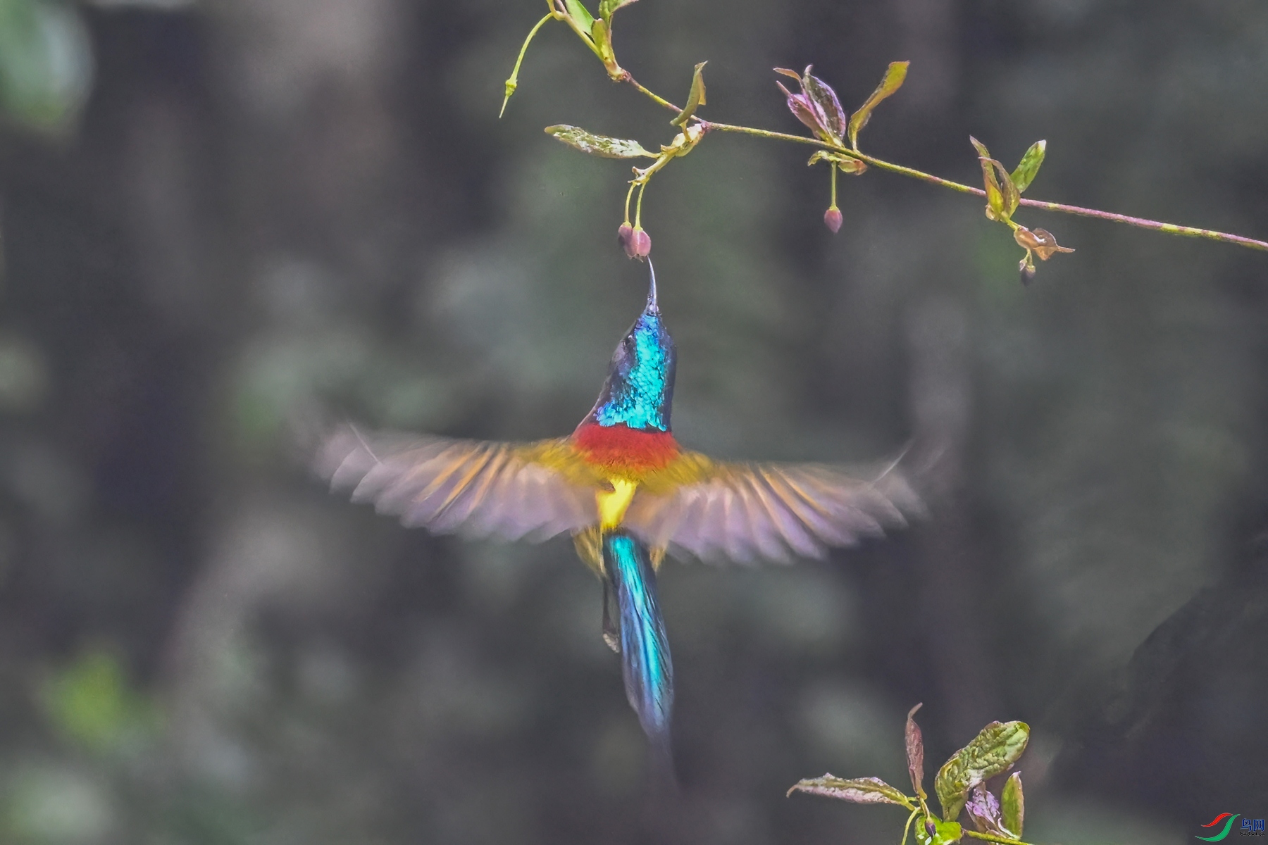 DSC_1939.JPG