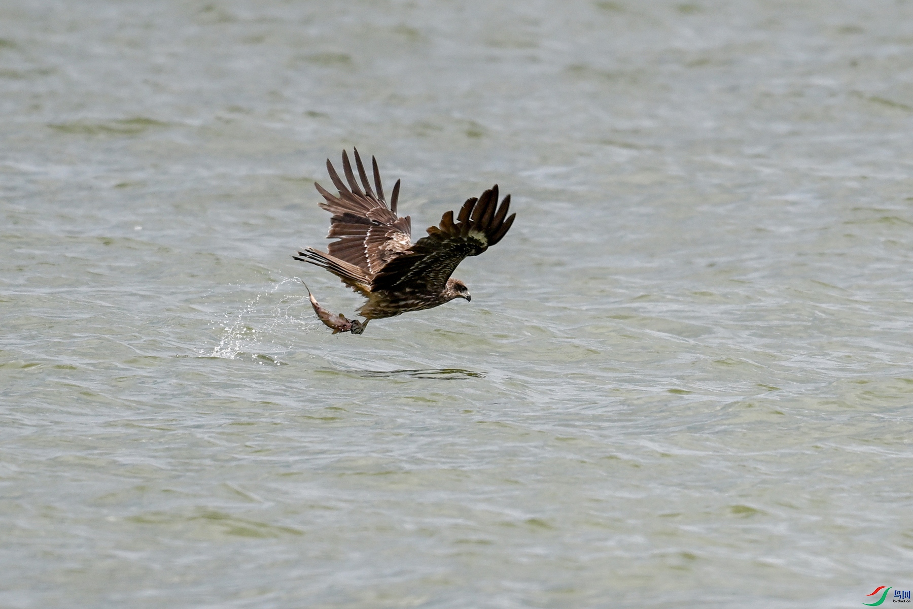 DSC_2479.JPG