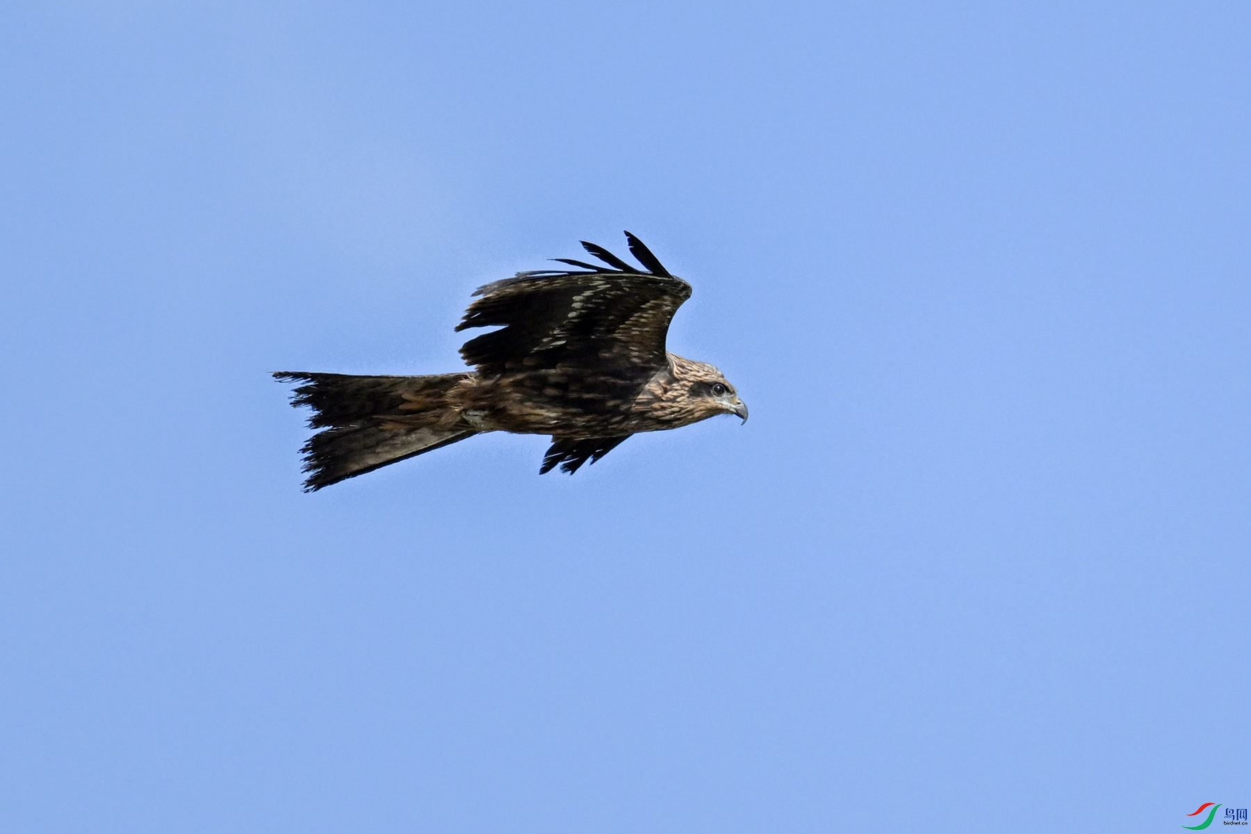 DSC_2725.JPG