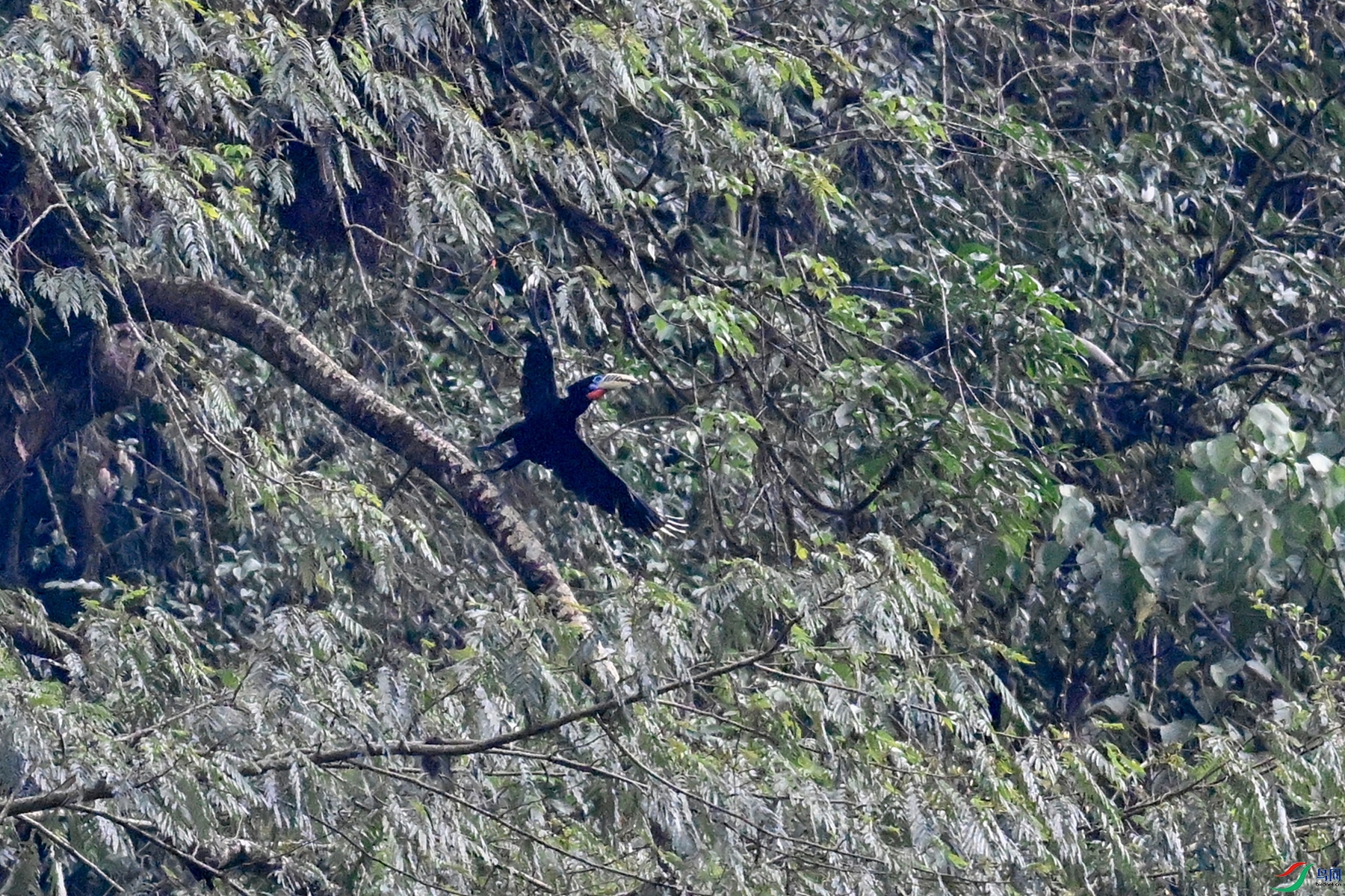 DSC_9894.JPG