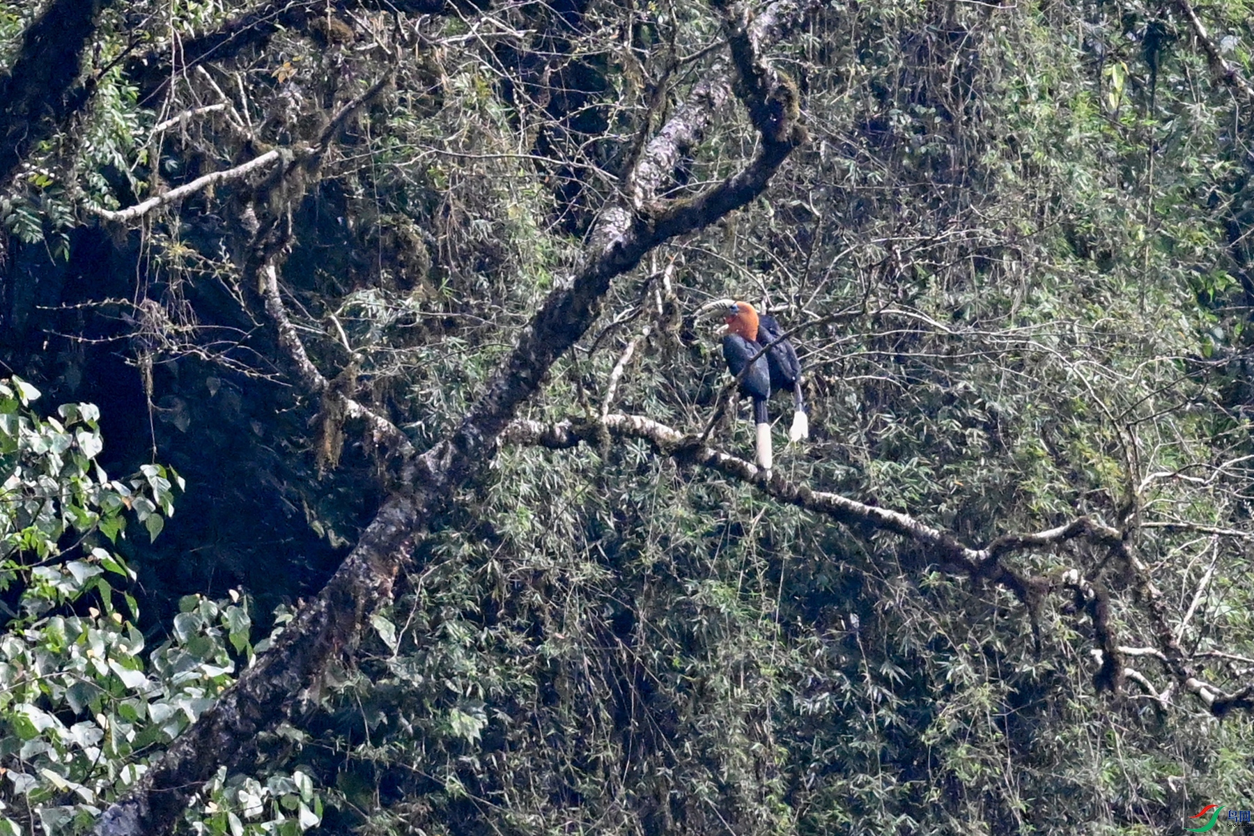 DSC_9982.JPG