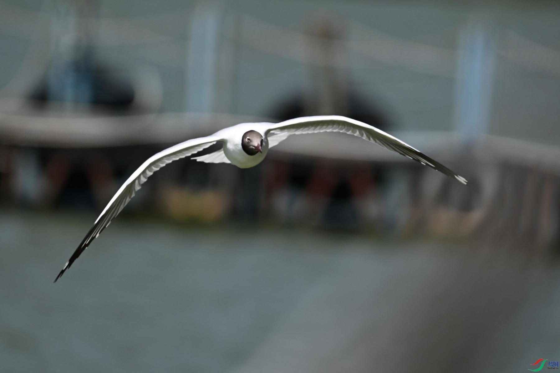 DSC_3067.JPG