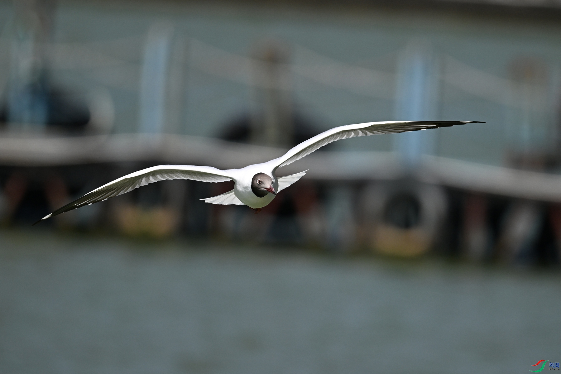 DSC_3068.JPG