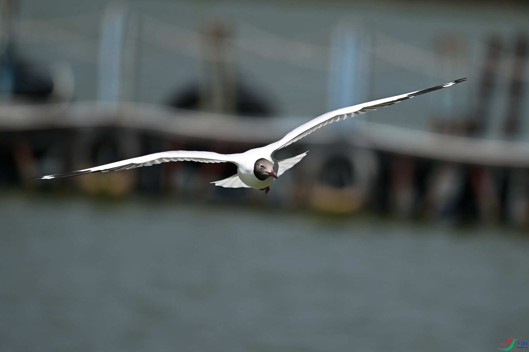 DSC_3069.JPG