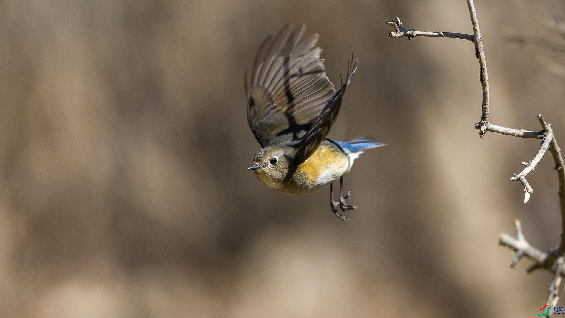 051A2140 ����n.jpg