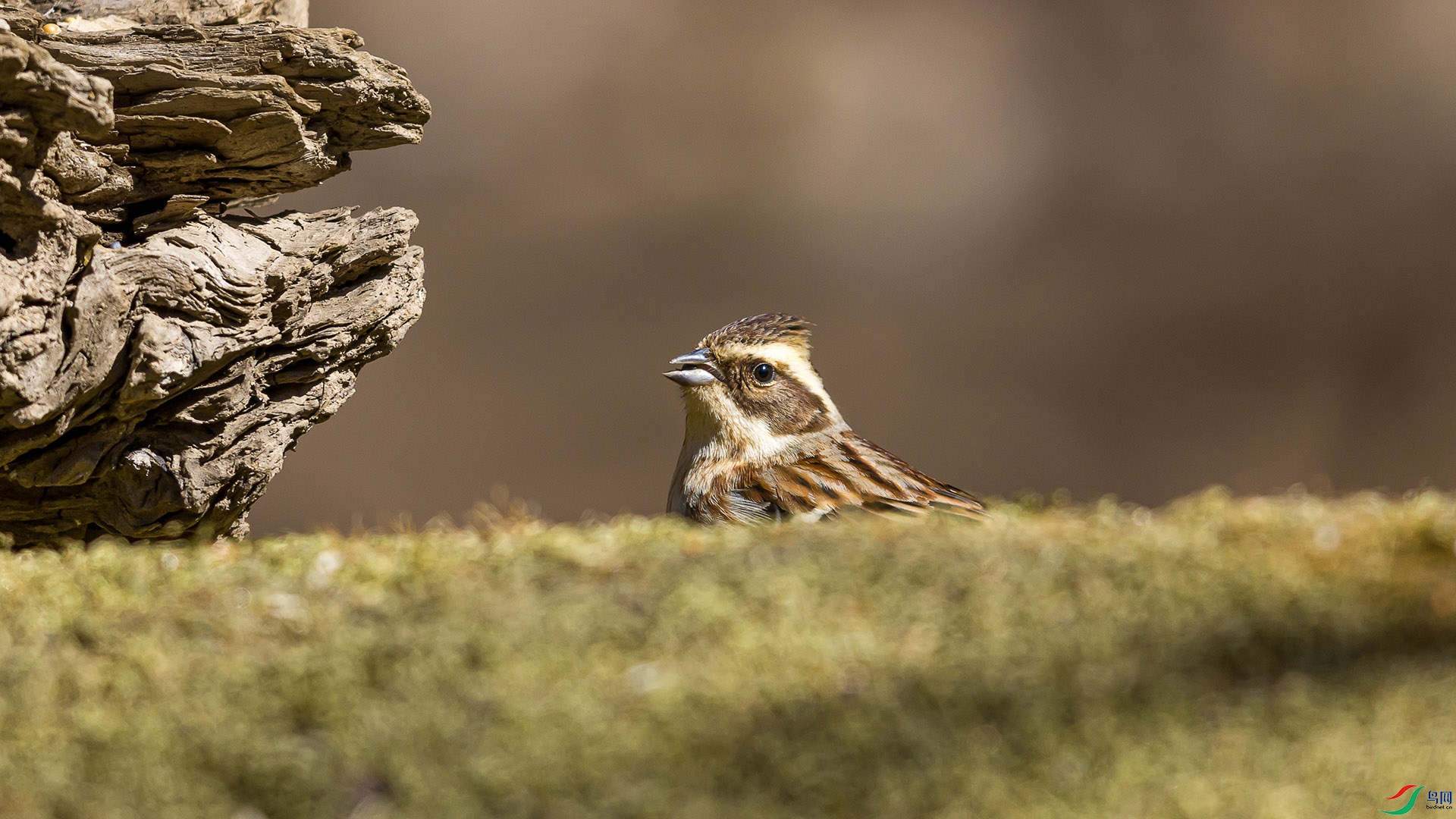 051A1970 ����n.jpg