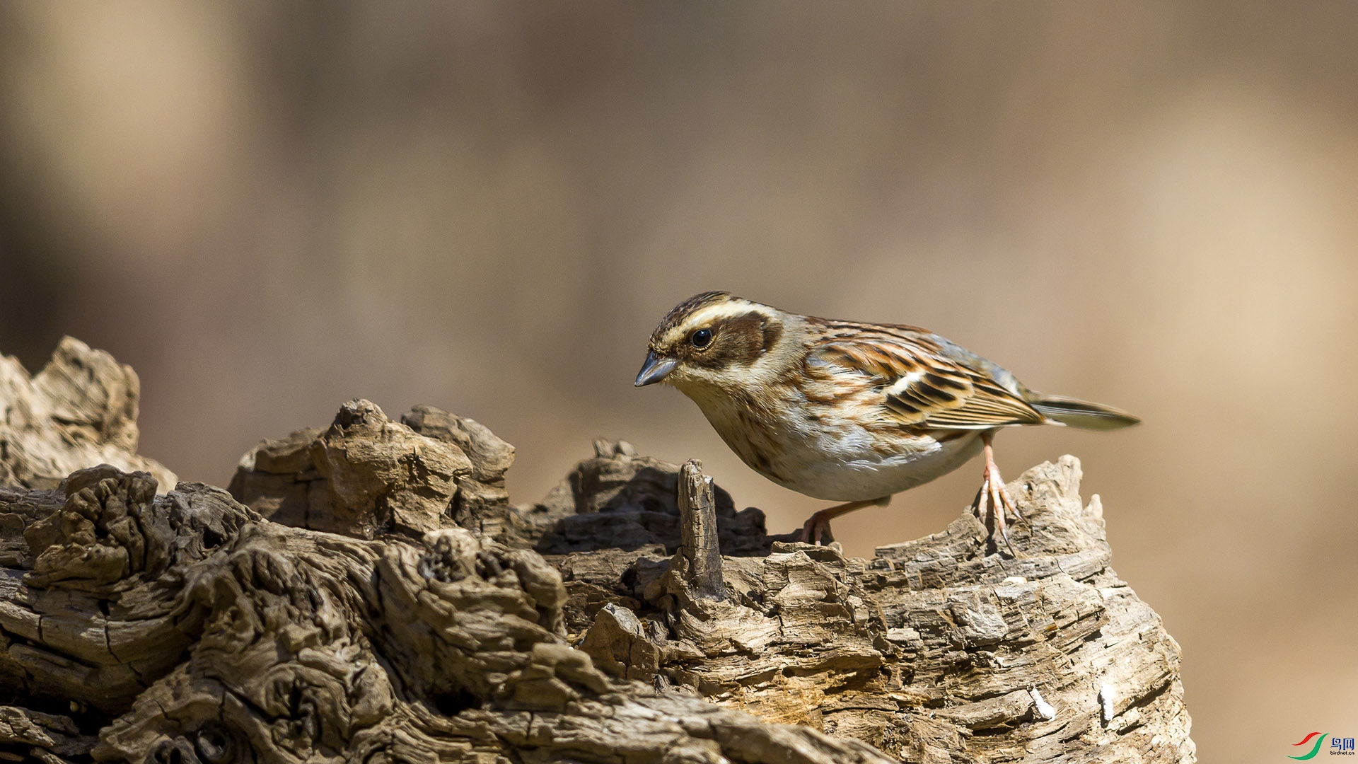 051A2215 ����n.jpg