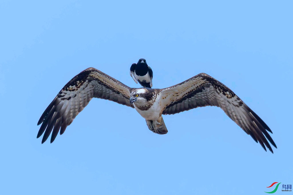 107A9792 ����.jpg