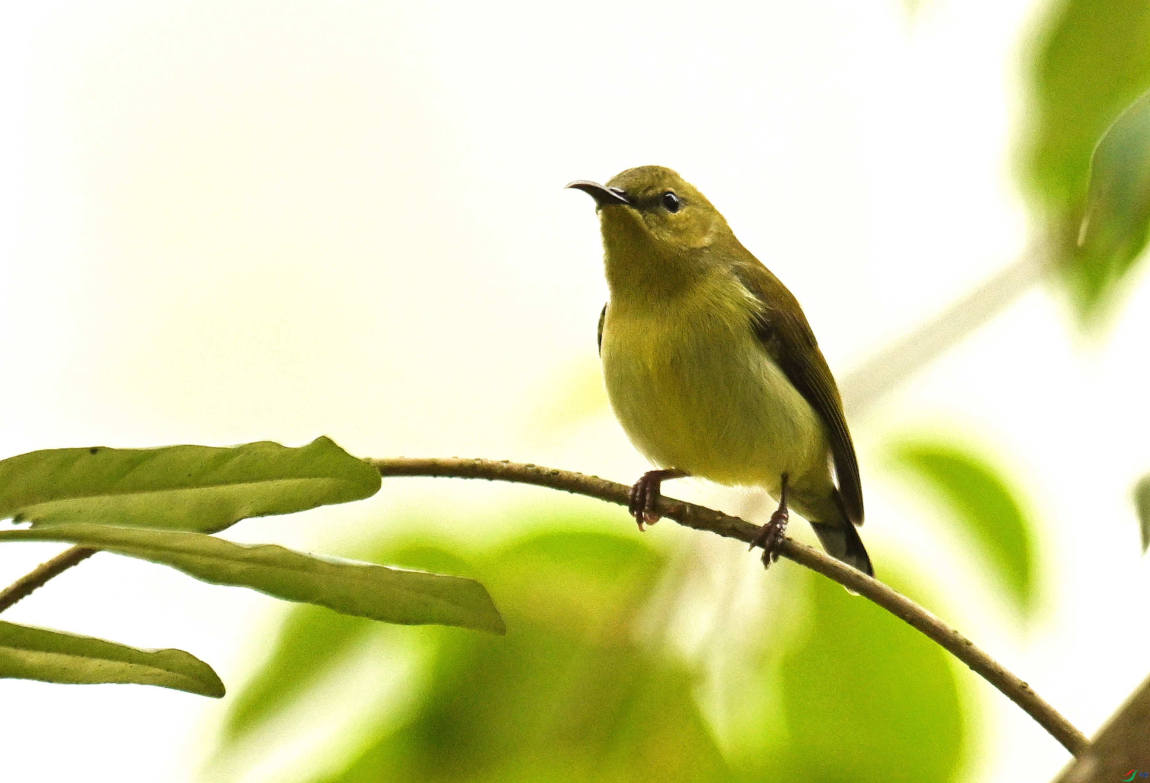 DSC_5834.jpg