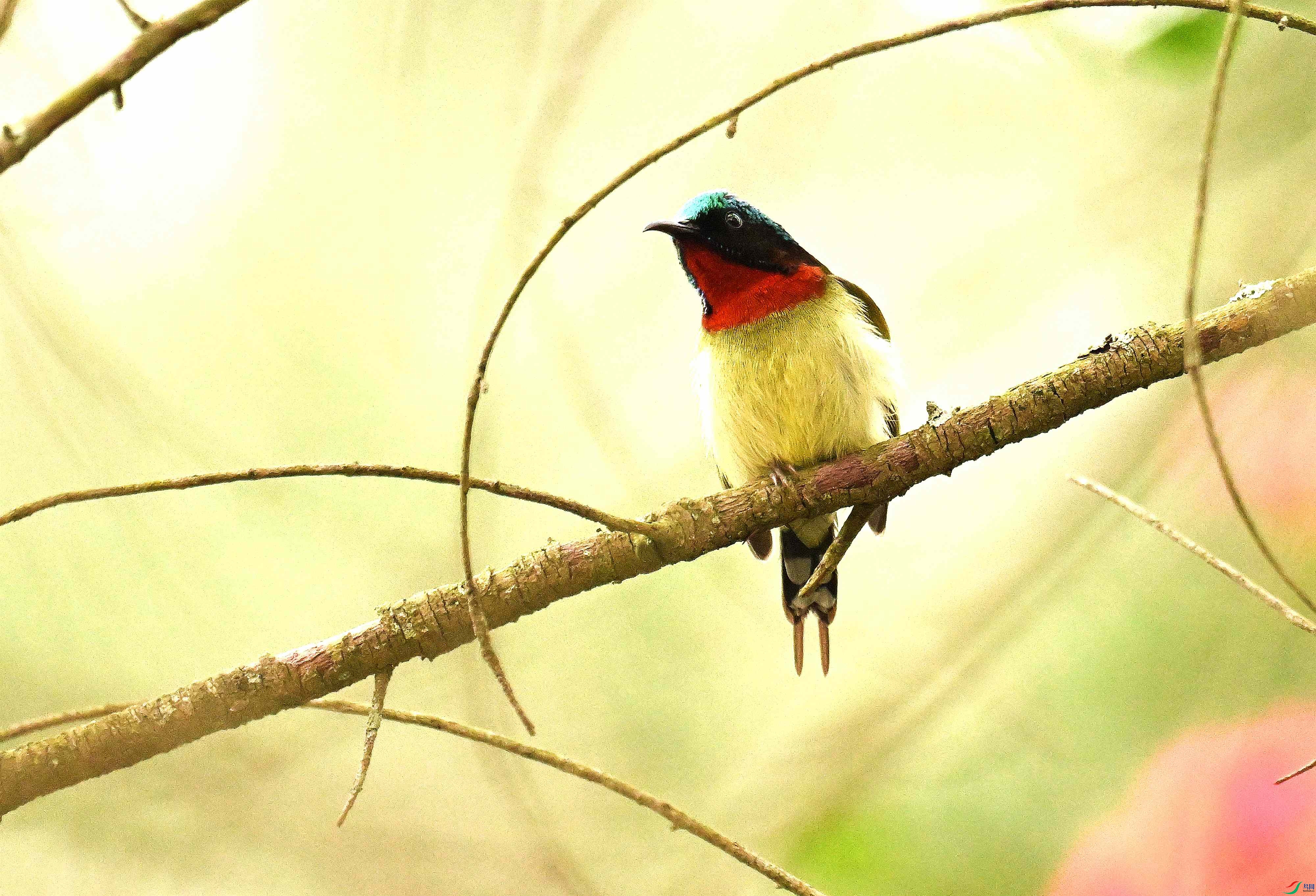 DSC_6102.jpg